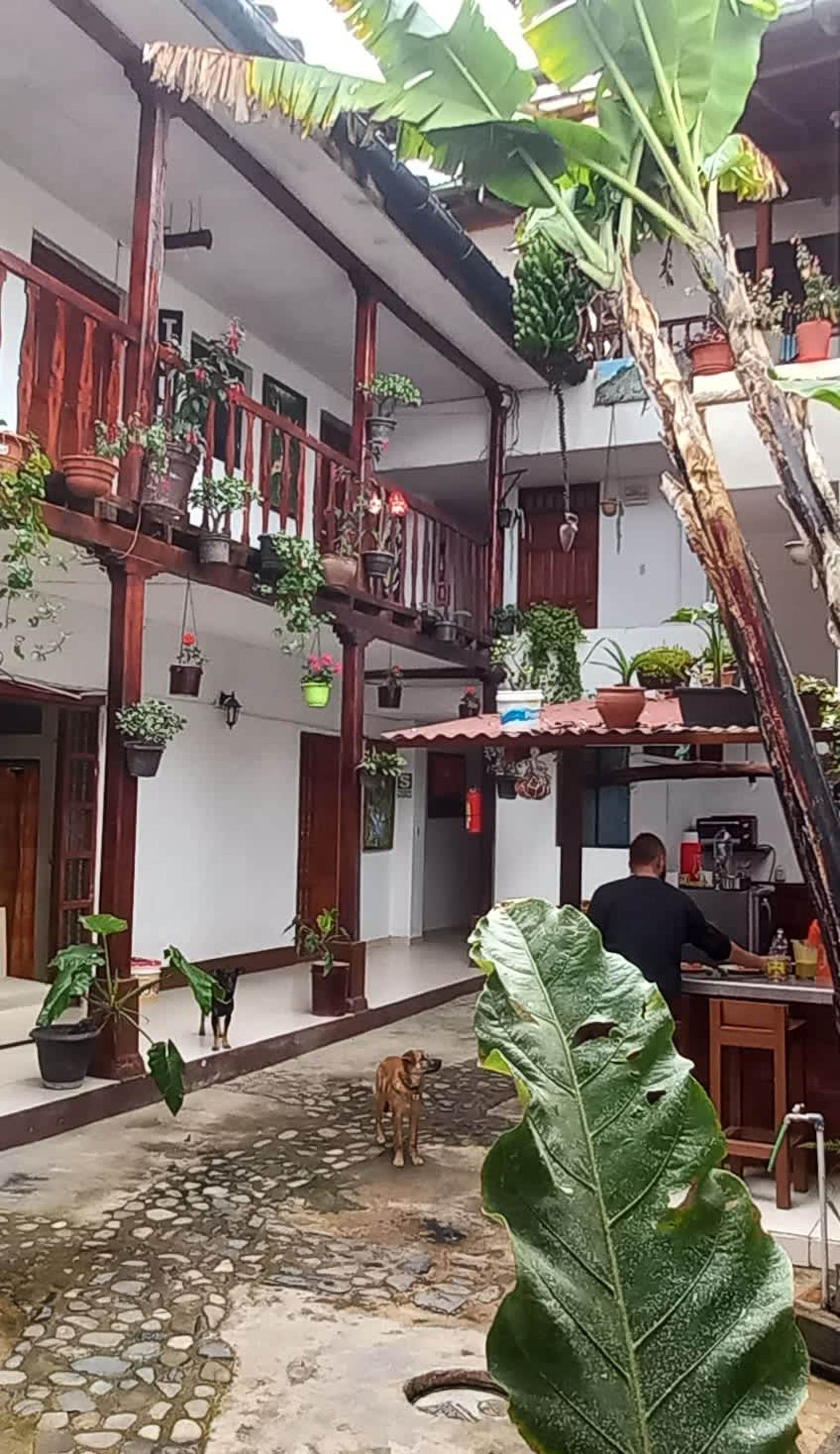Hostal Norte