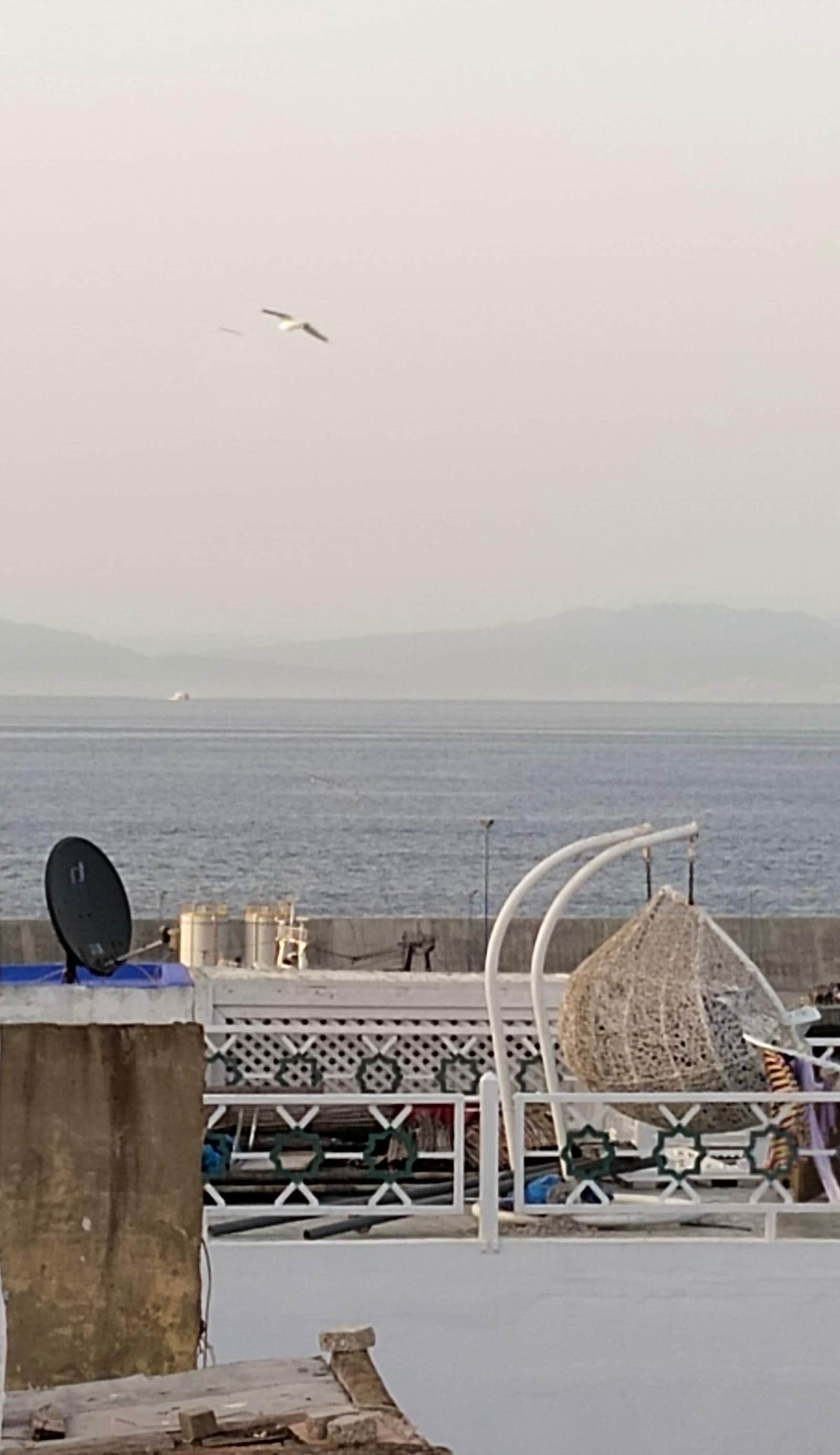 Dar Gara