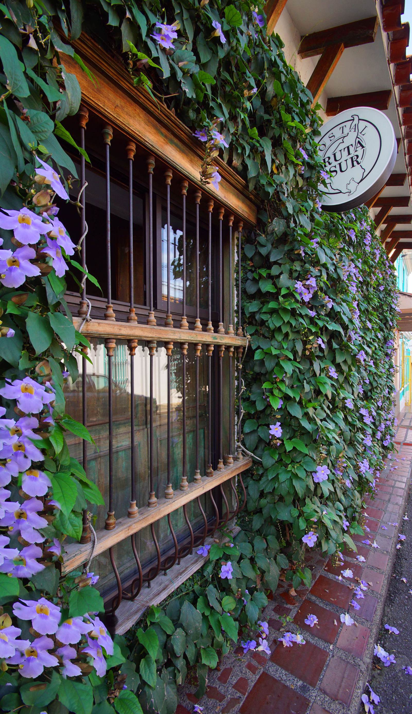 CASA RUTA SUR