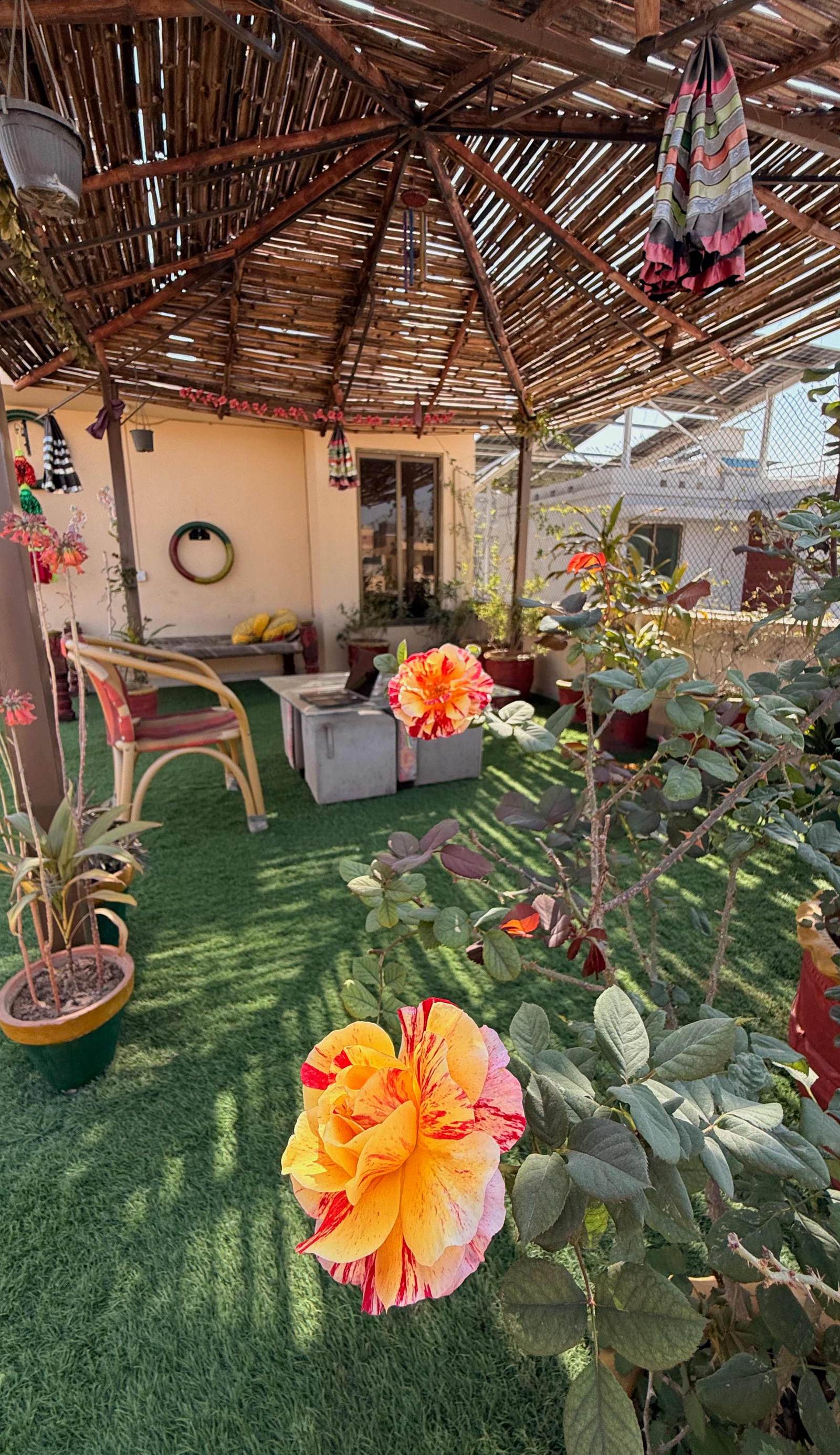 Coyote Den Travelers Hostel Islamabad