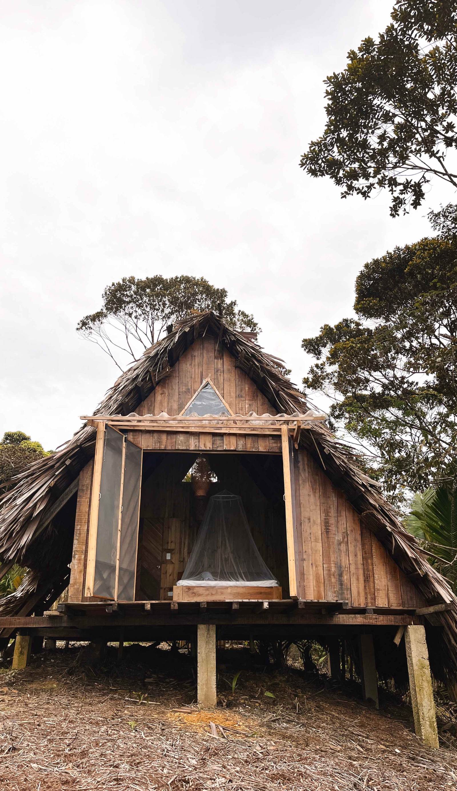 Pacifico Hostel
