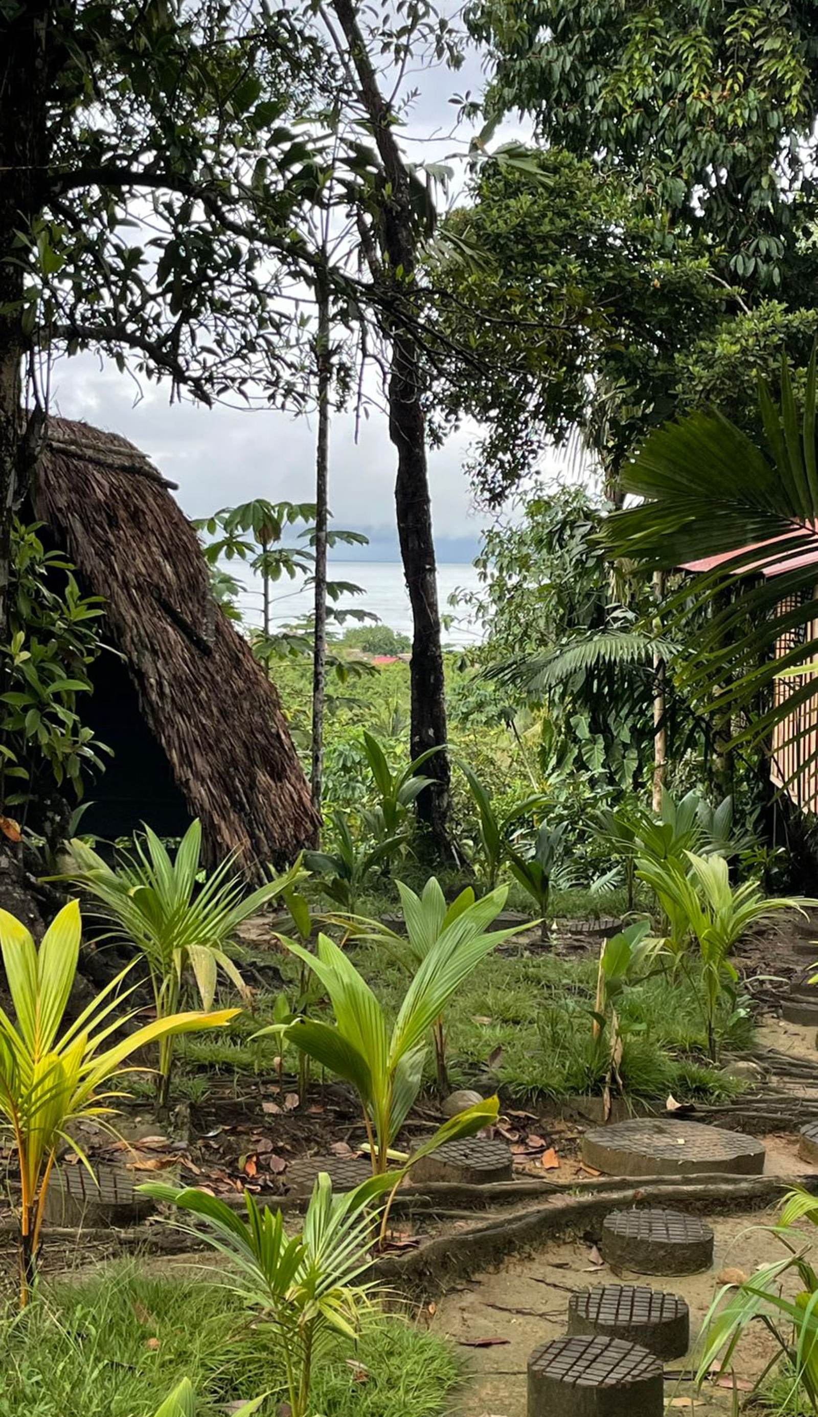 Pacific Dream Hostal