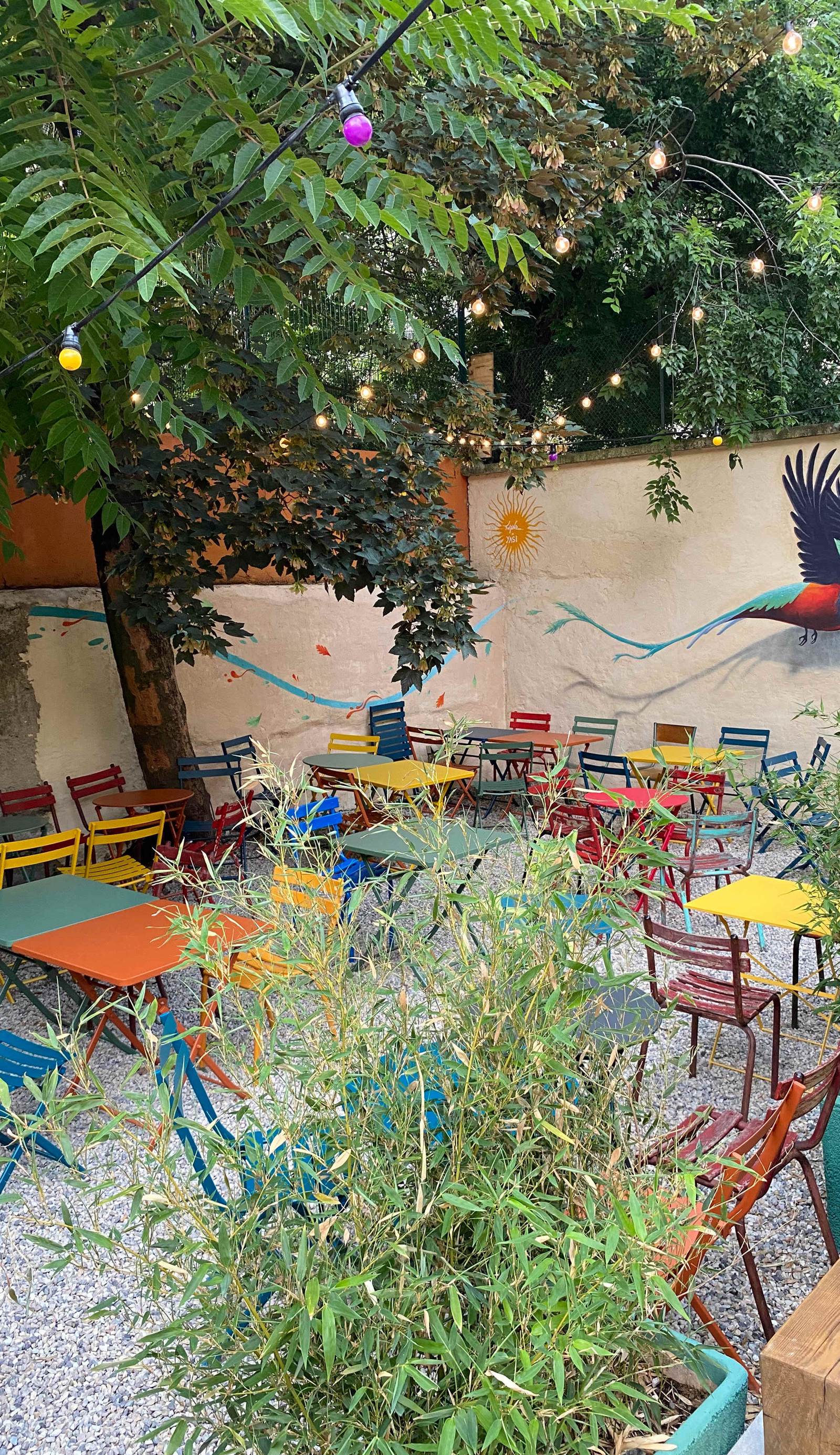 Yasi Hostel