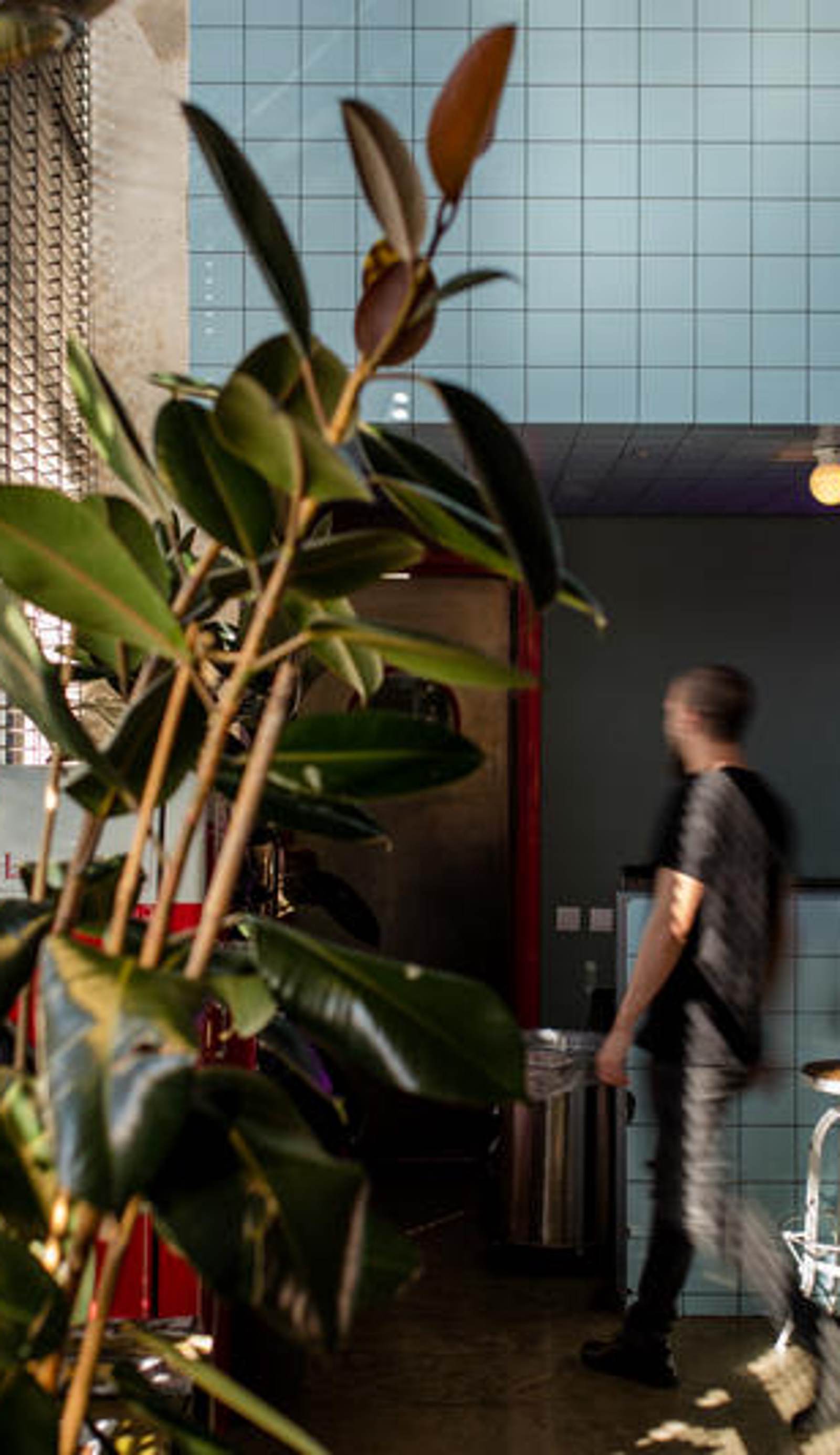 Fabrika Hostel & Suites