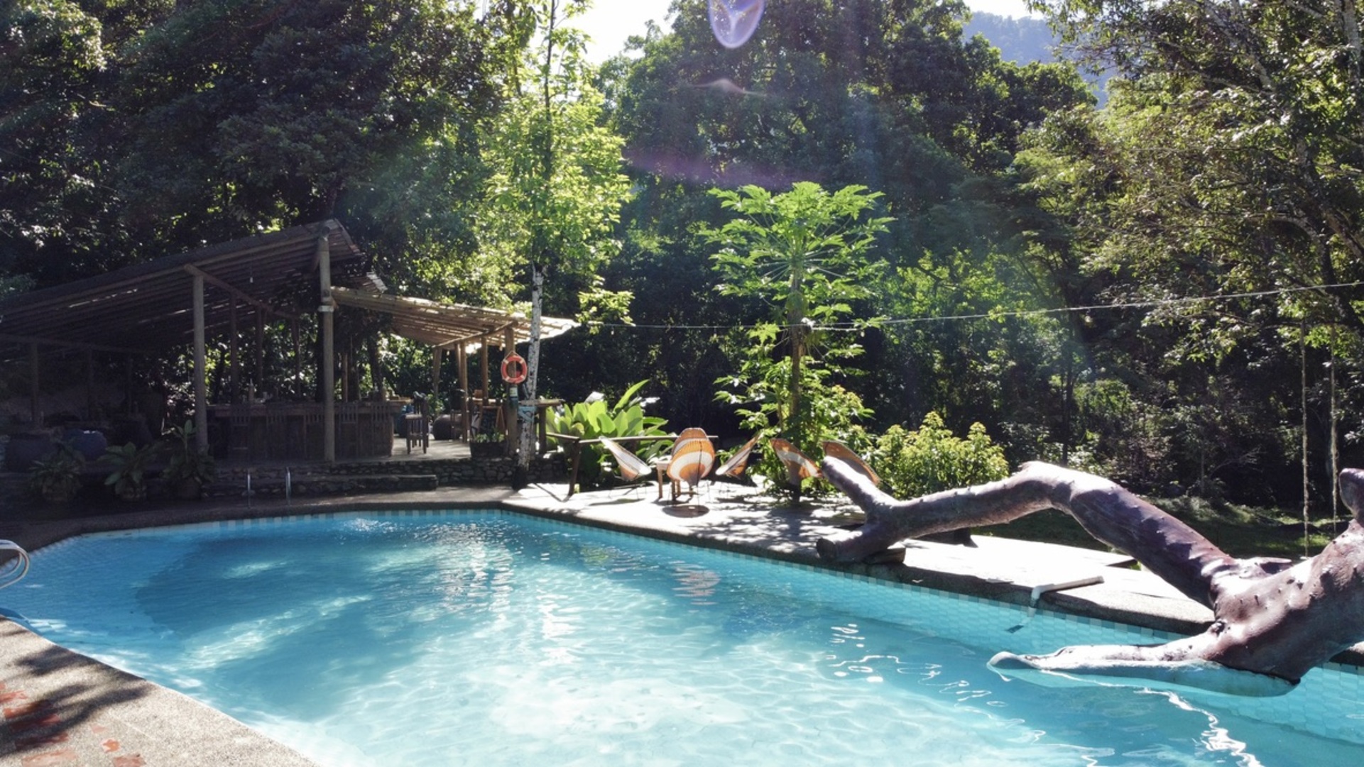 Rio Elemento Ecolodge