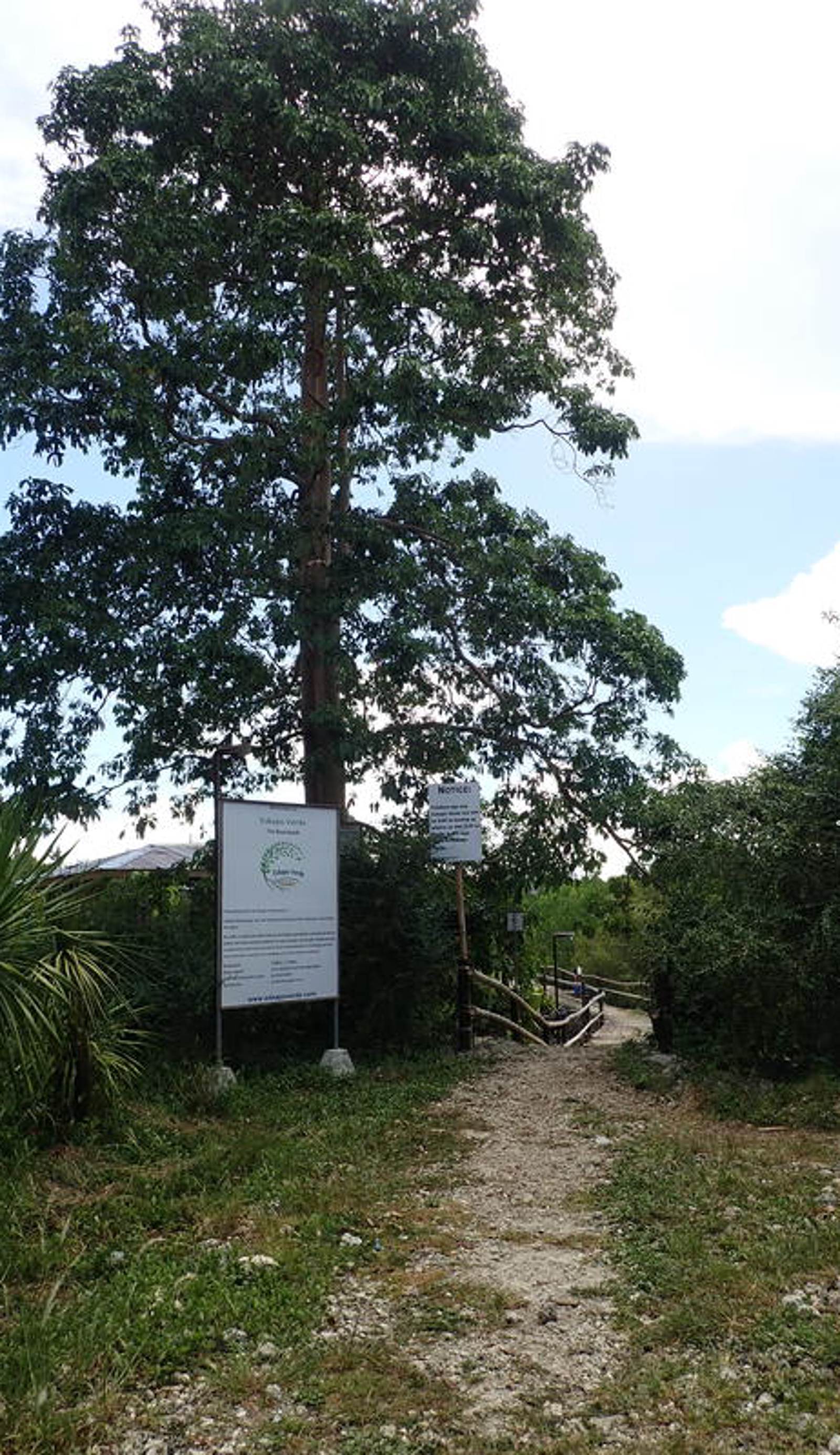 Eskapo Verde Lodge Moalboal