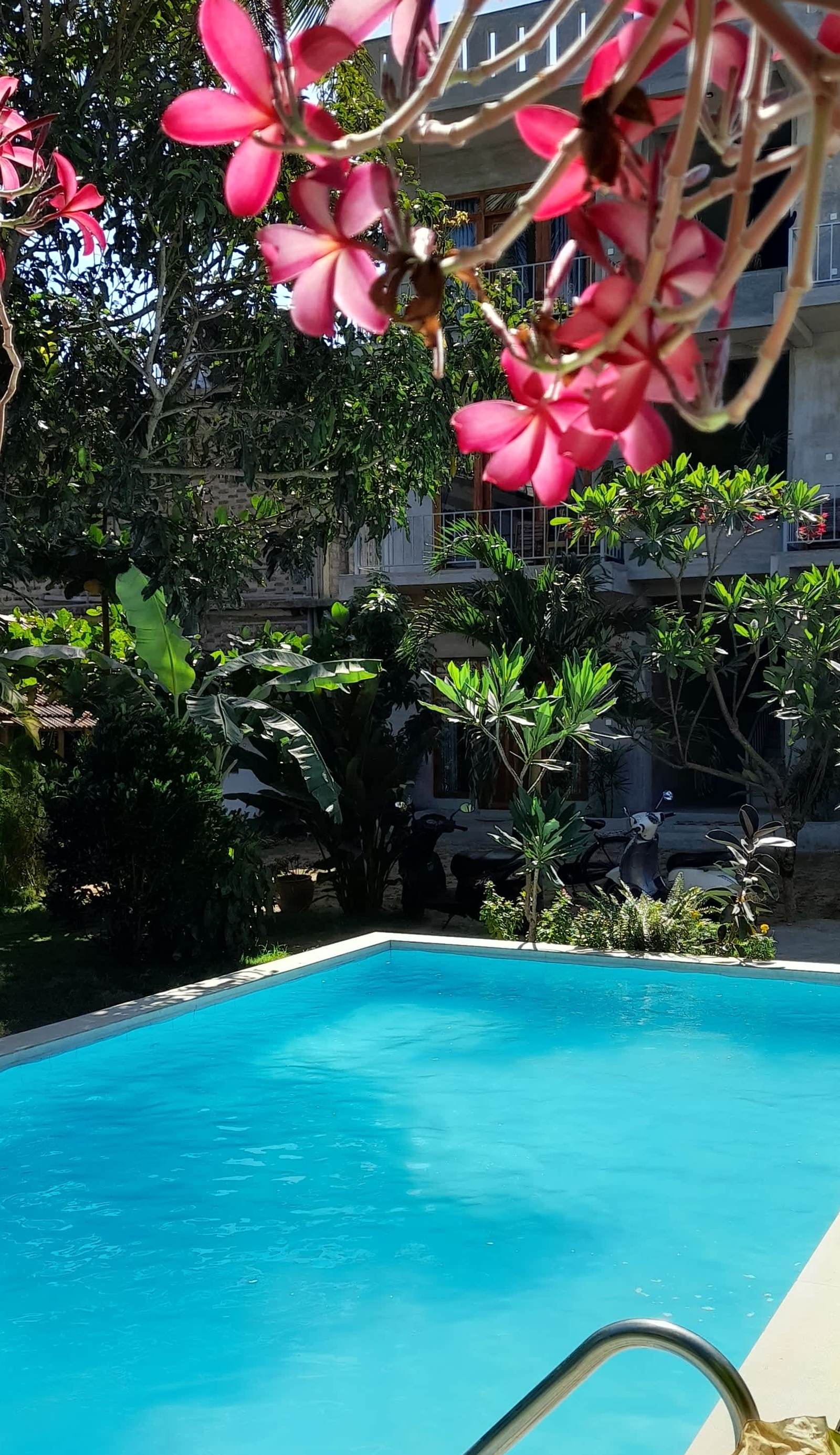 Surf Gangs Hotel Arugambay