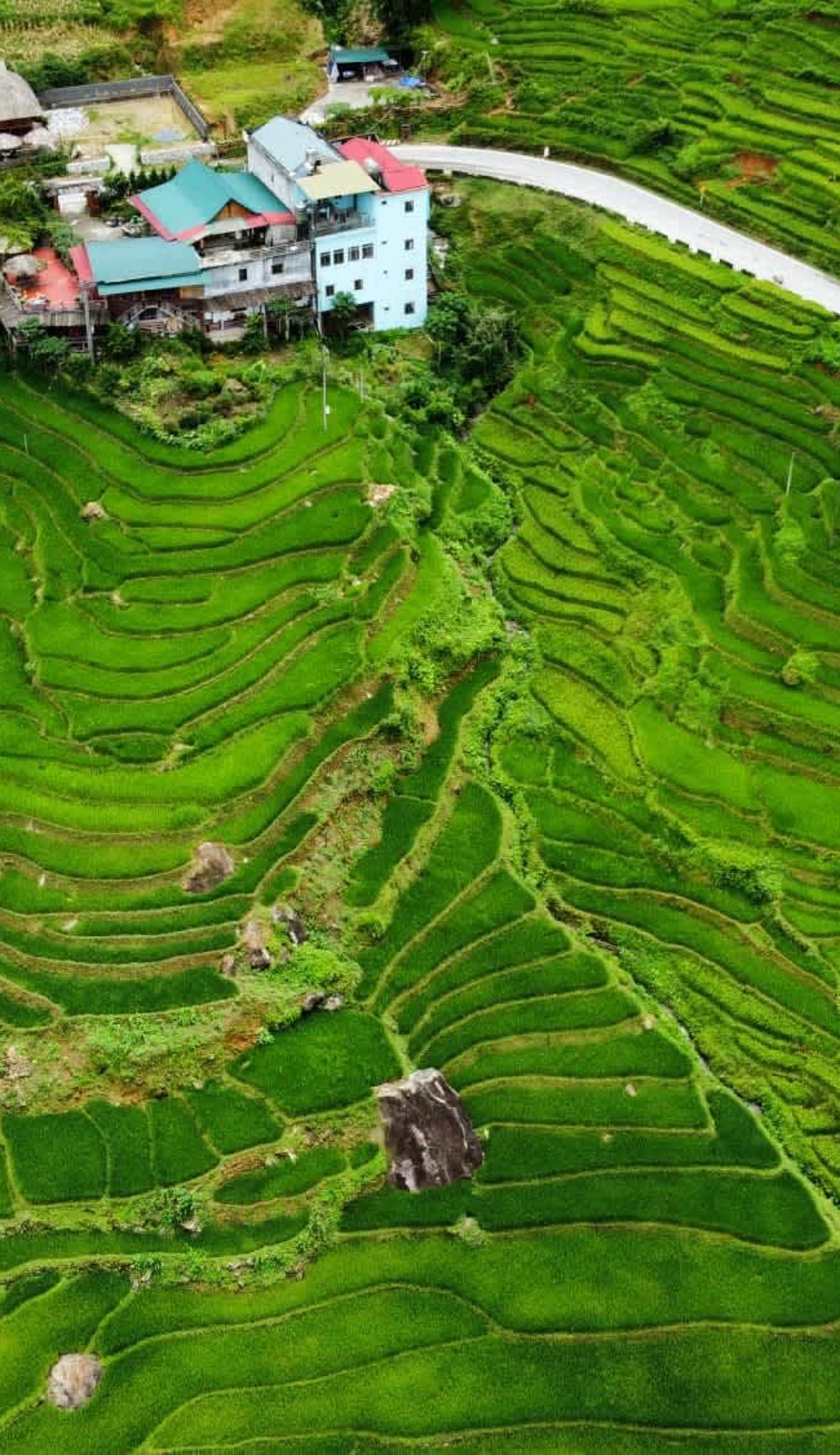 Hoa's Homestay Sapa
