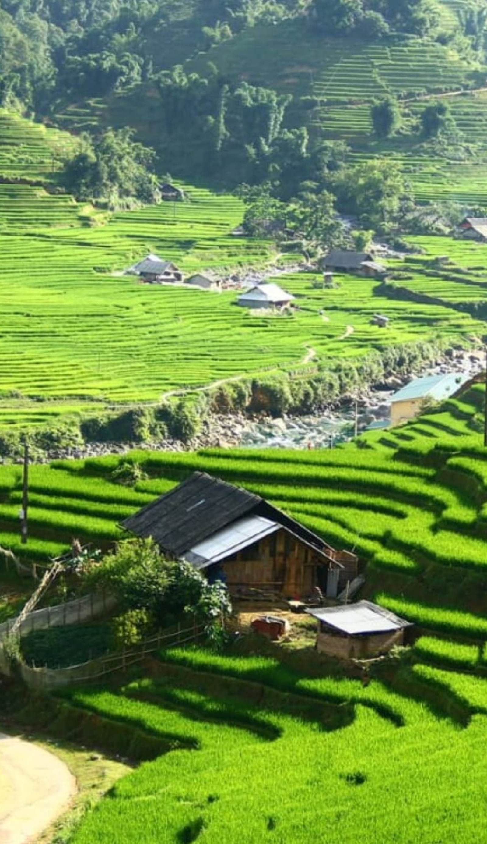Hmong Sister House and Trekking