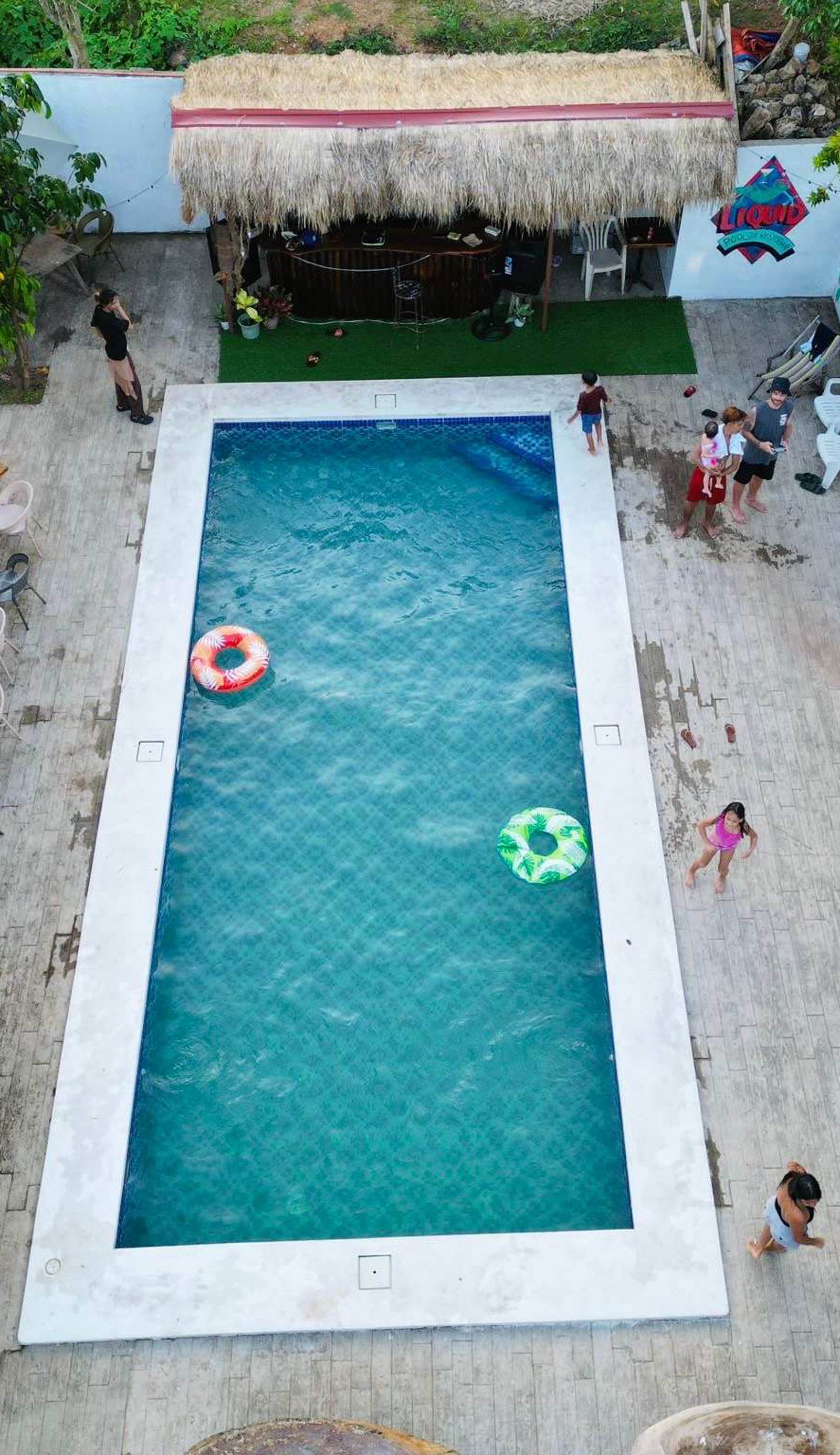 Screaming Gecko Hostel