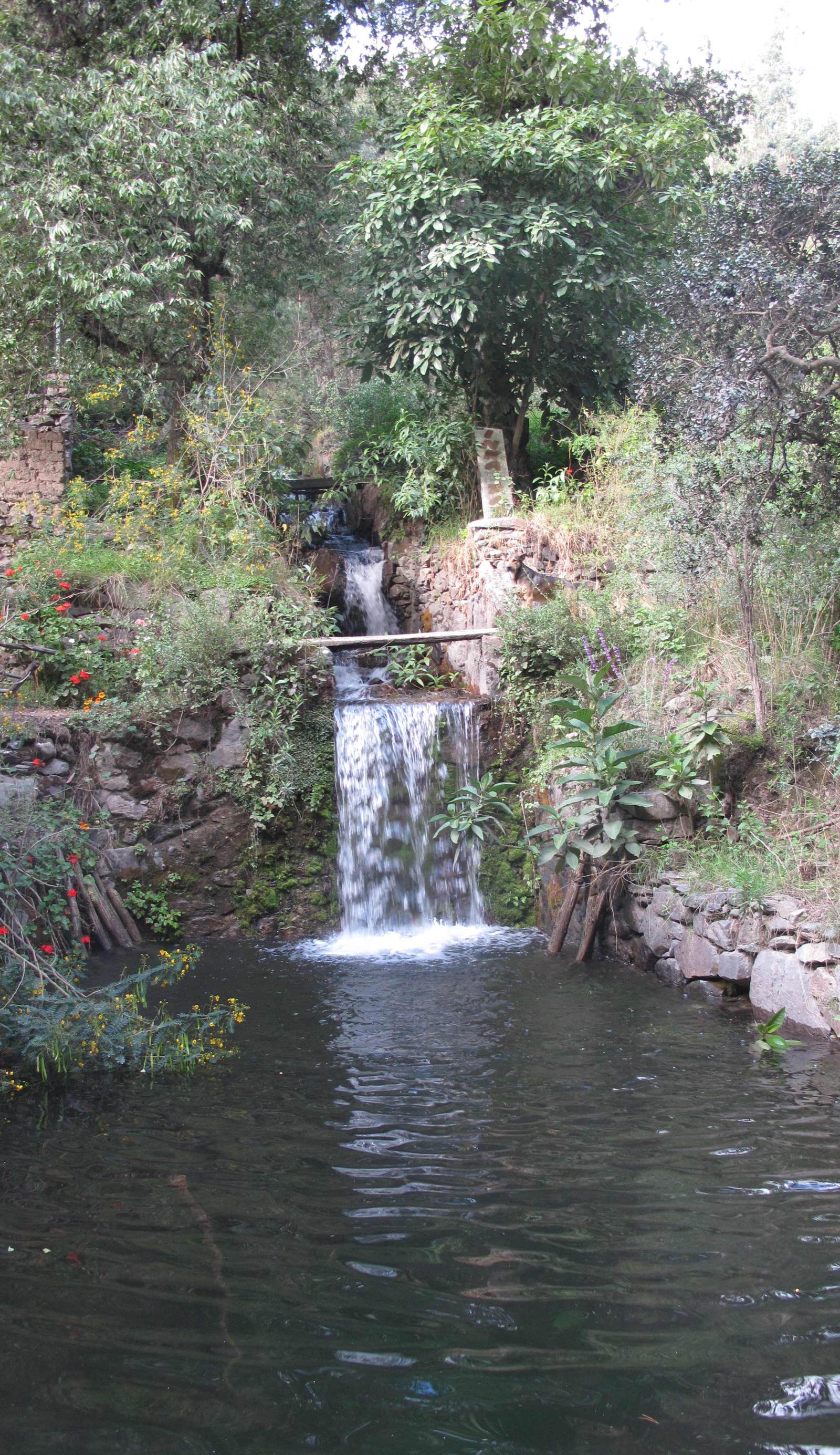 Hostel Inka Paccha - Cascada Inka
