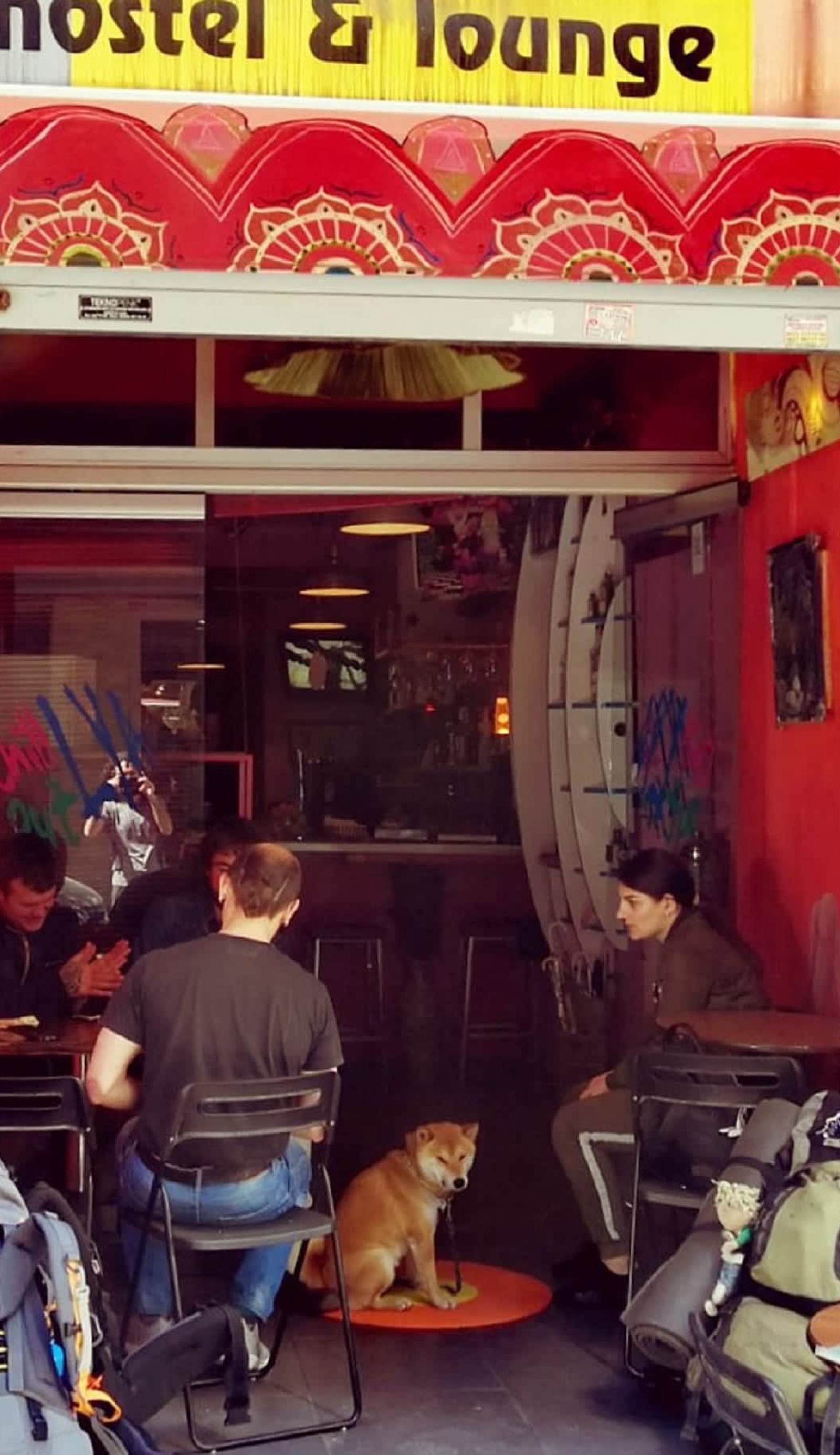 Chillout Lya Hostel Bar