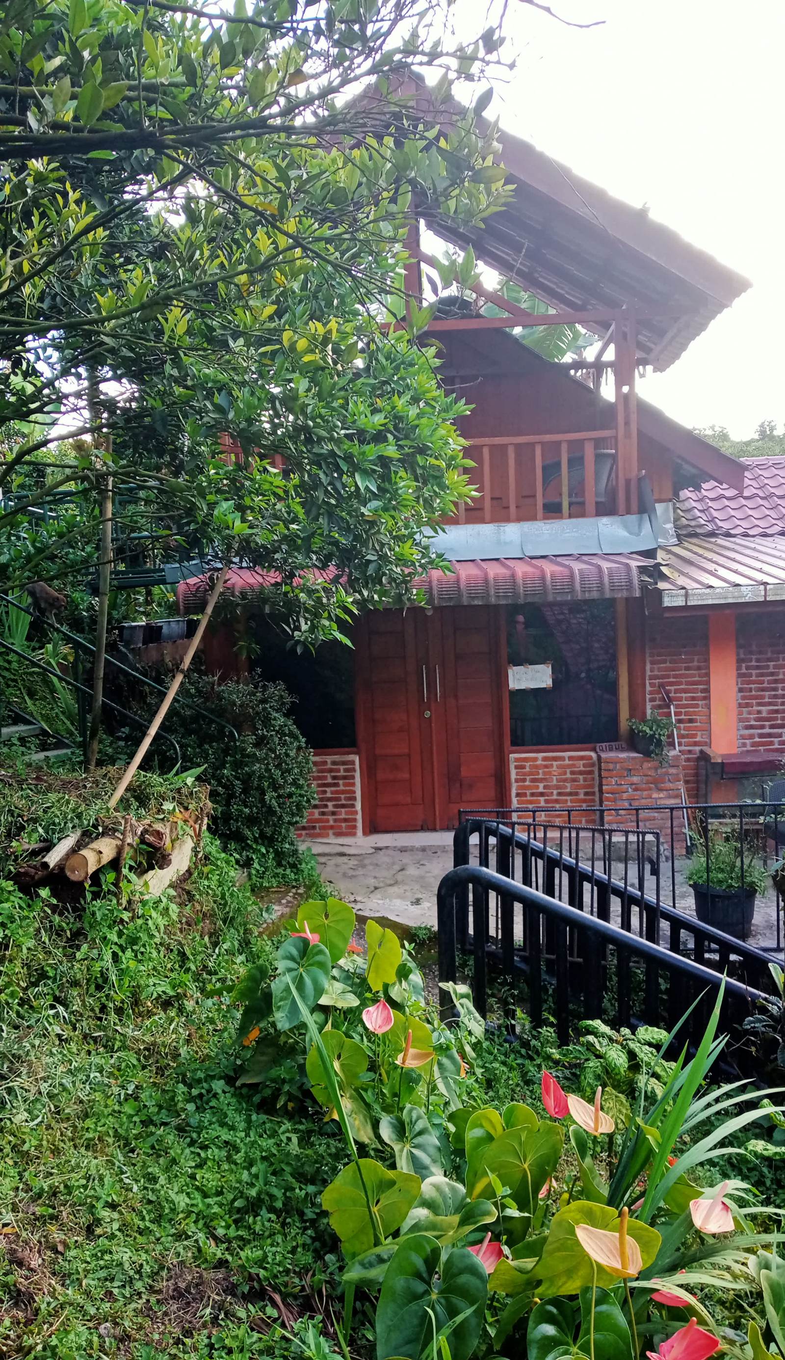 Gintribu Guest House Sibayak