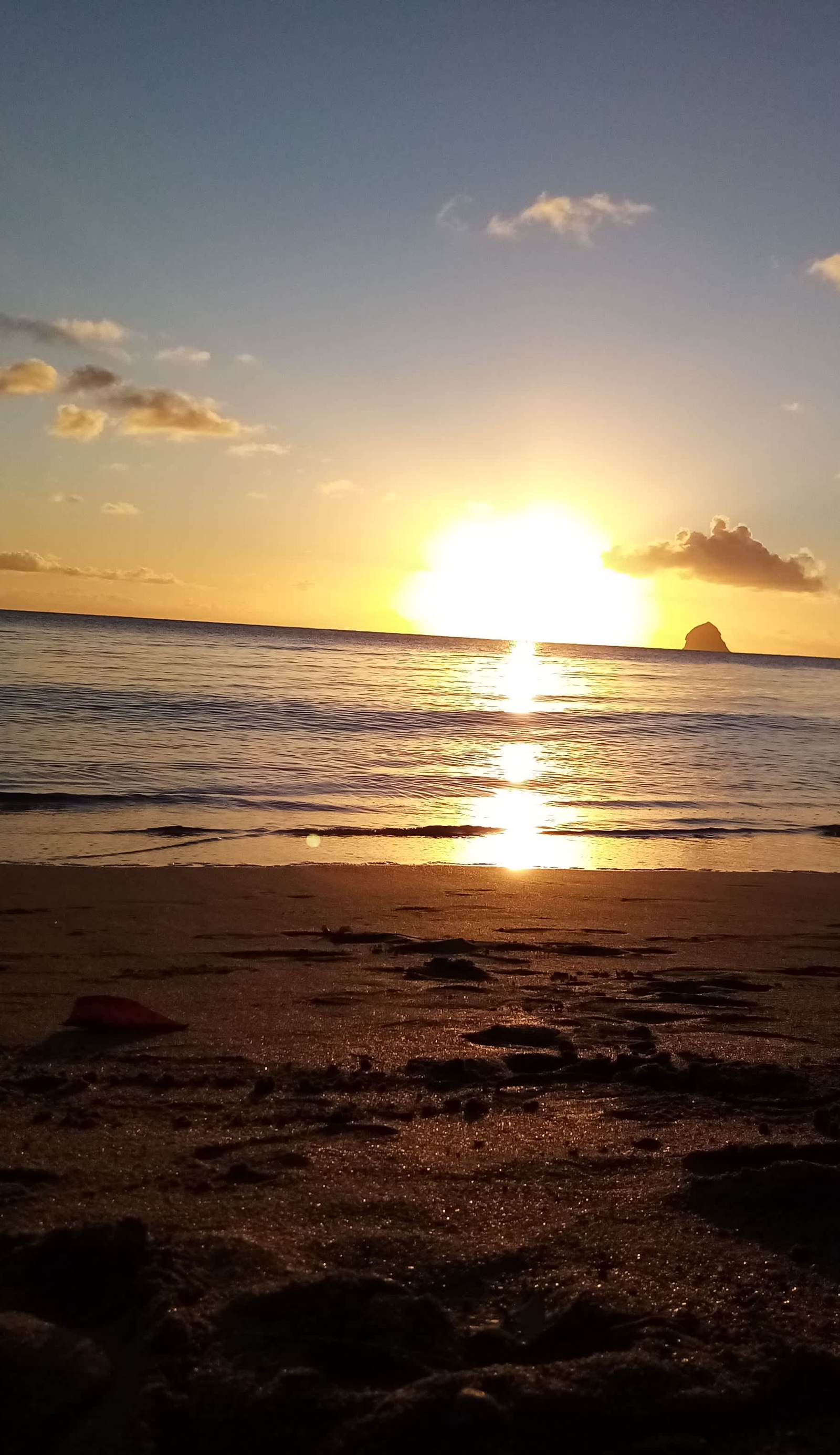 Martinique Hostel