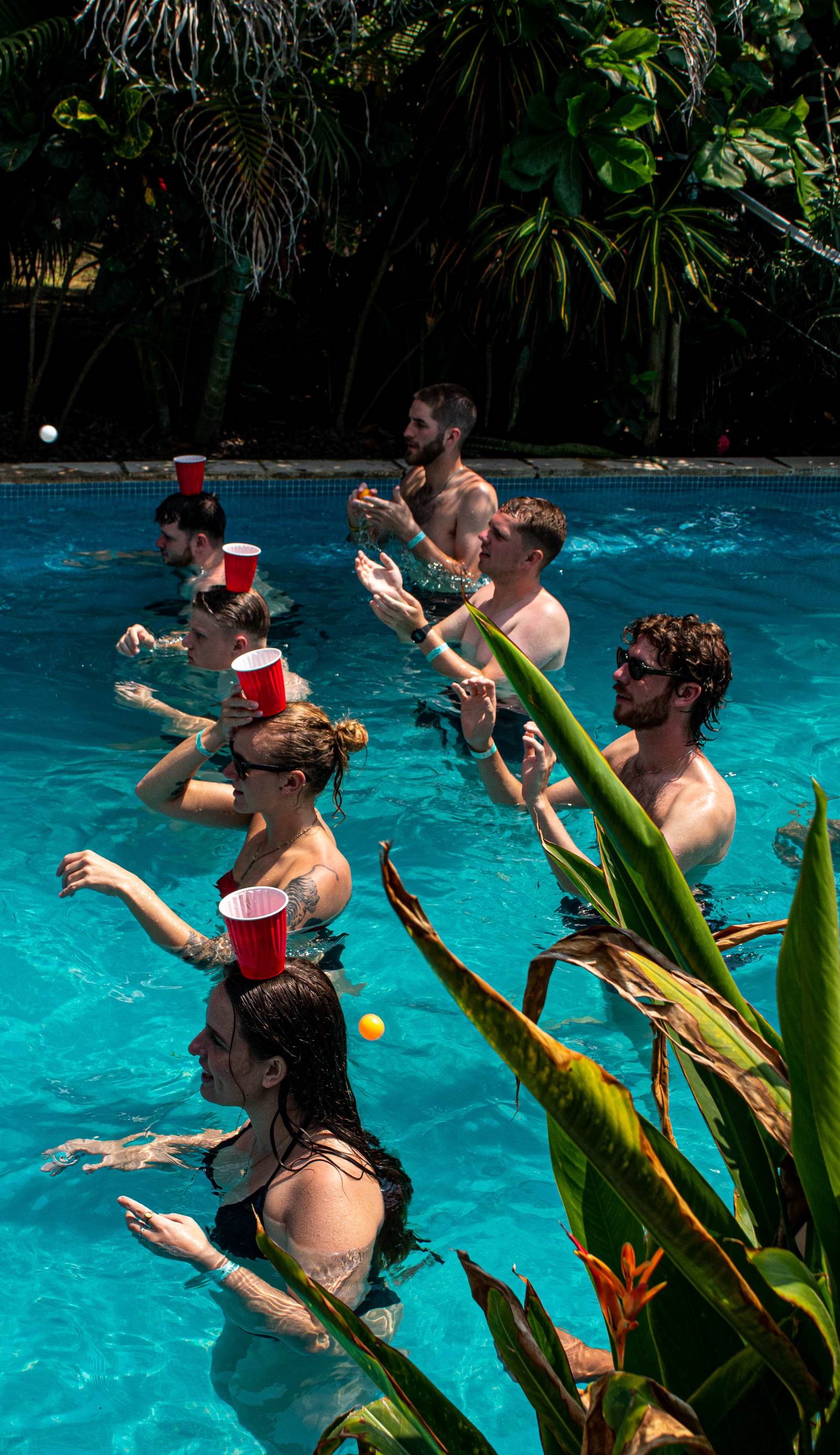 Mellow Hostel El Paredon