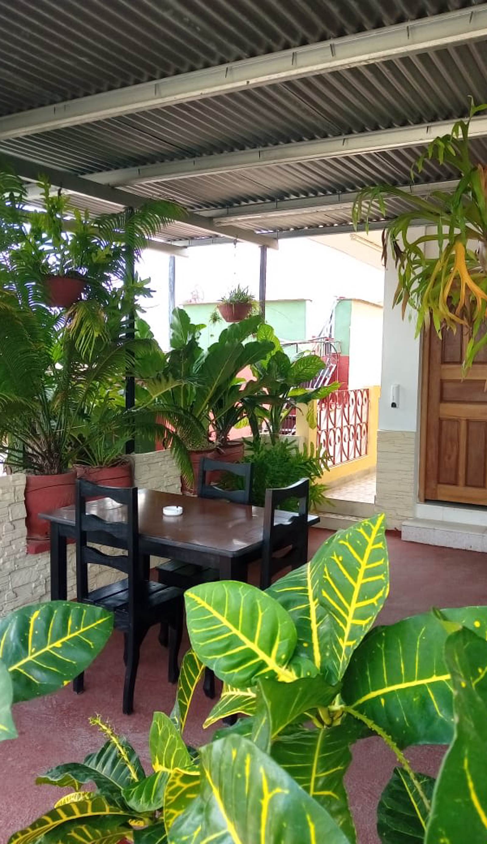 Hostal Privilege