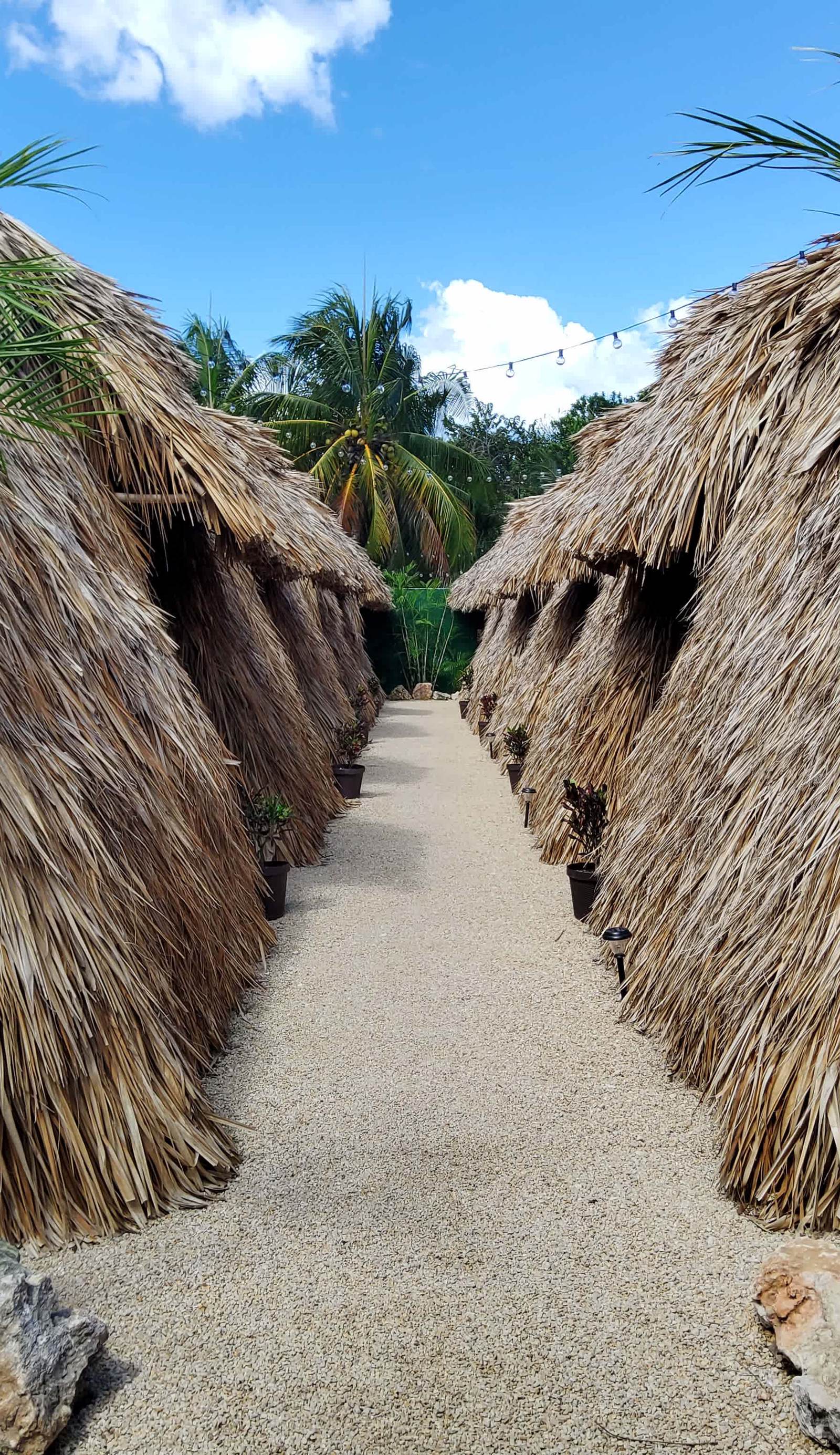 Hakuna Matata Glamping