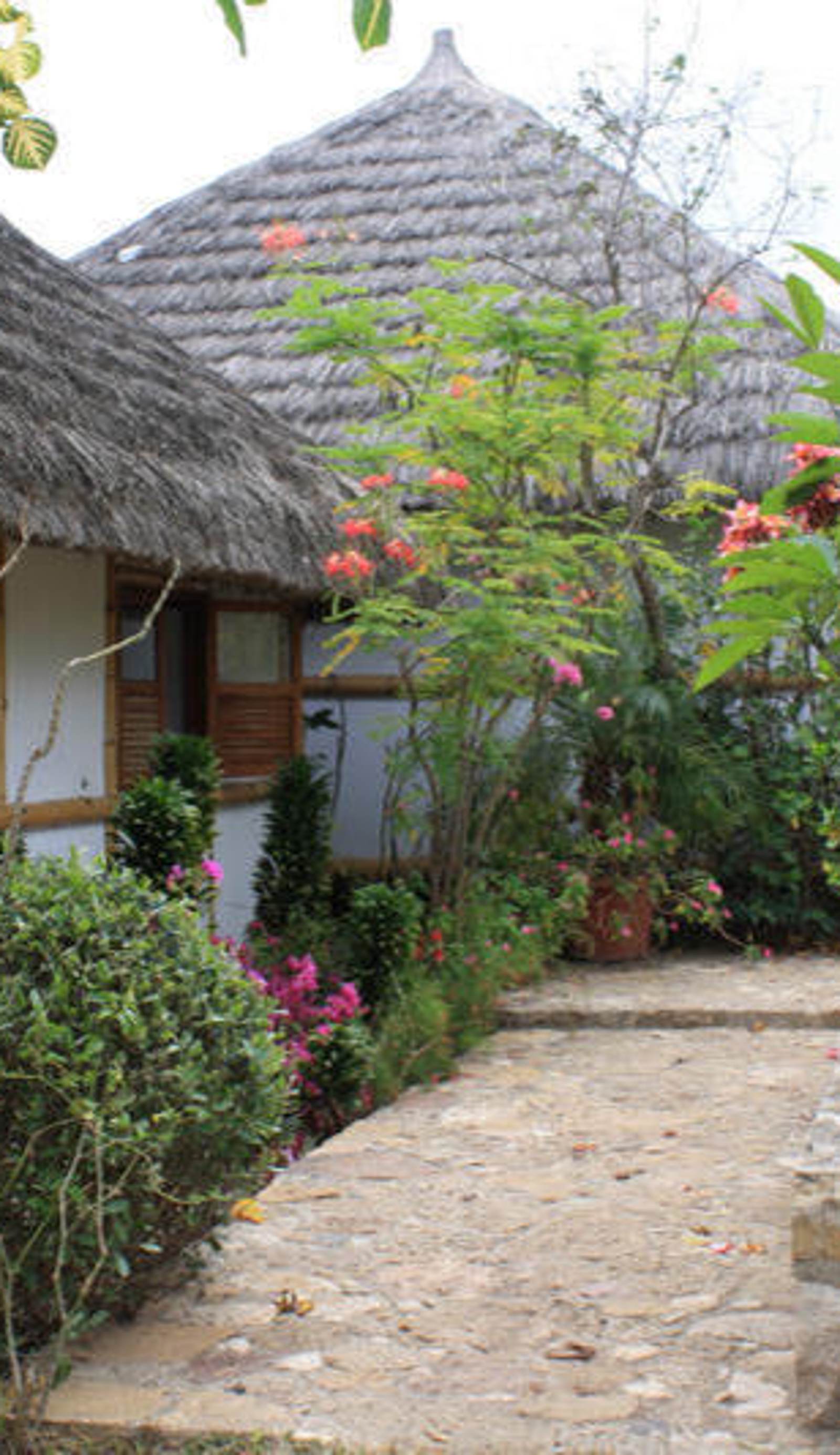 Muyuyo Lodge