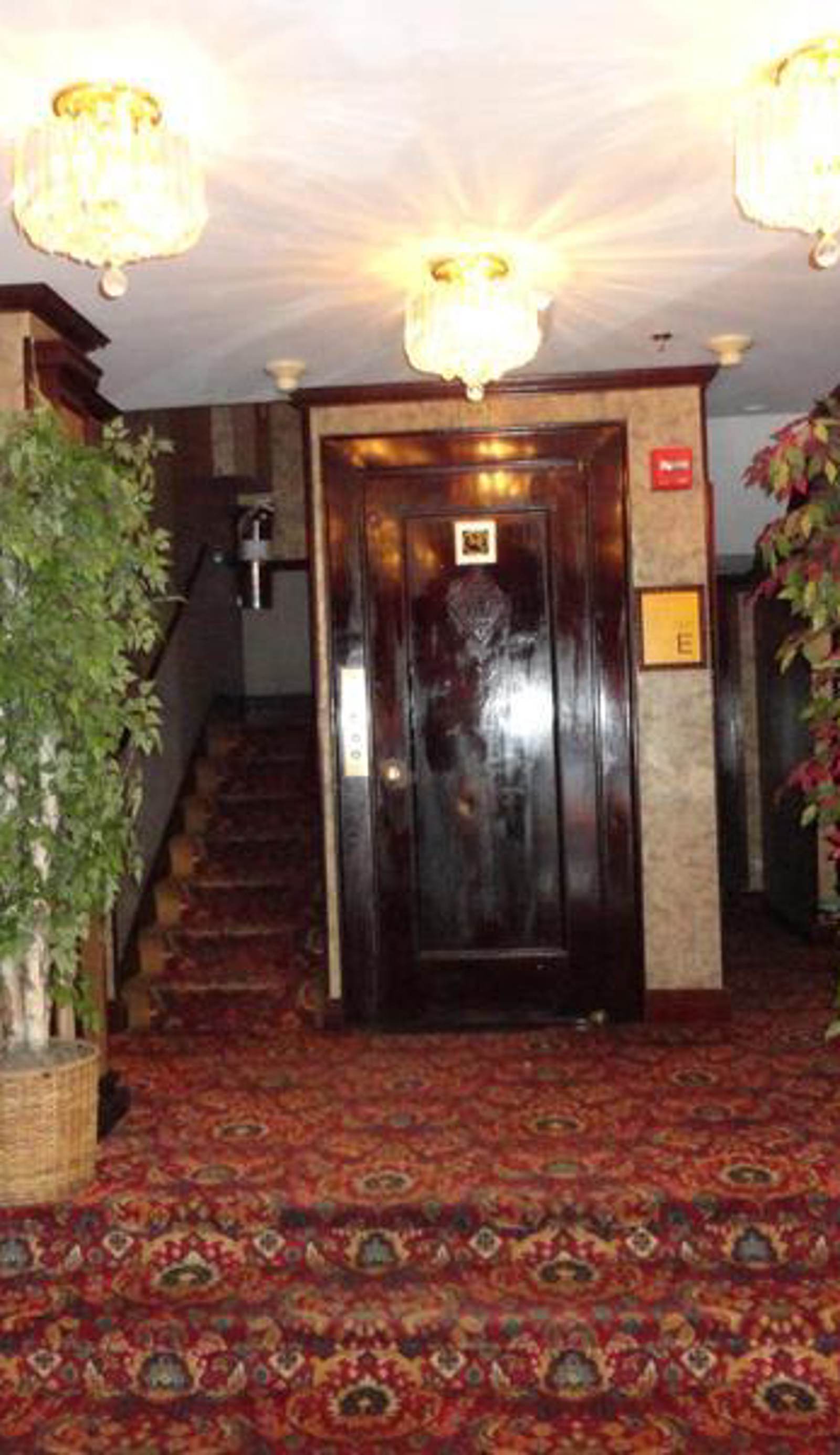 Hotel 31