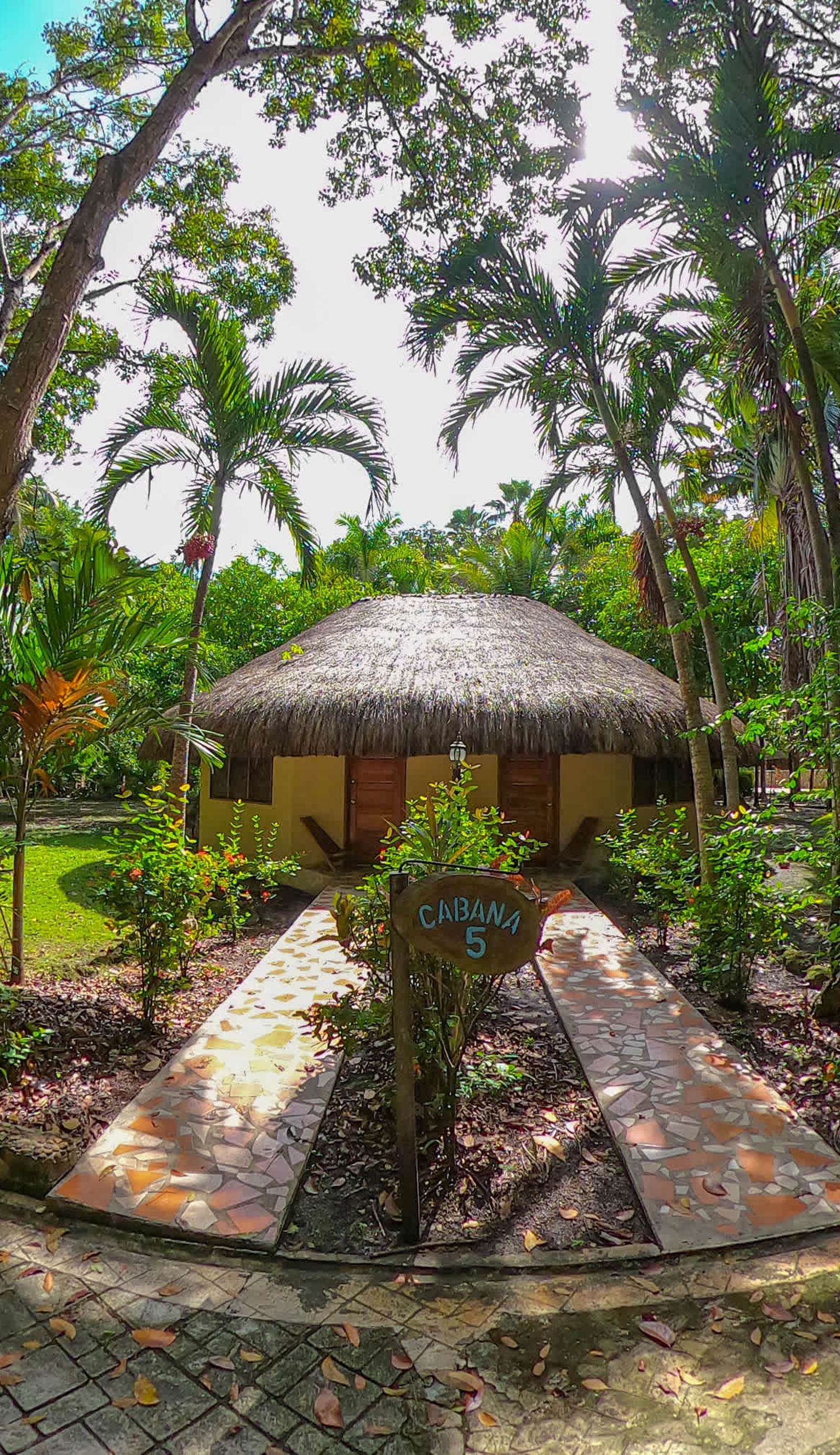 The Mayan Garden