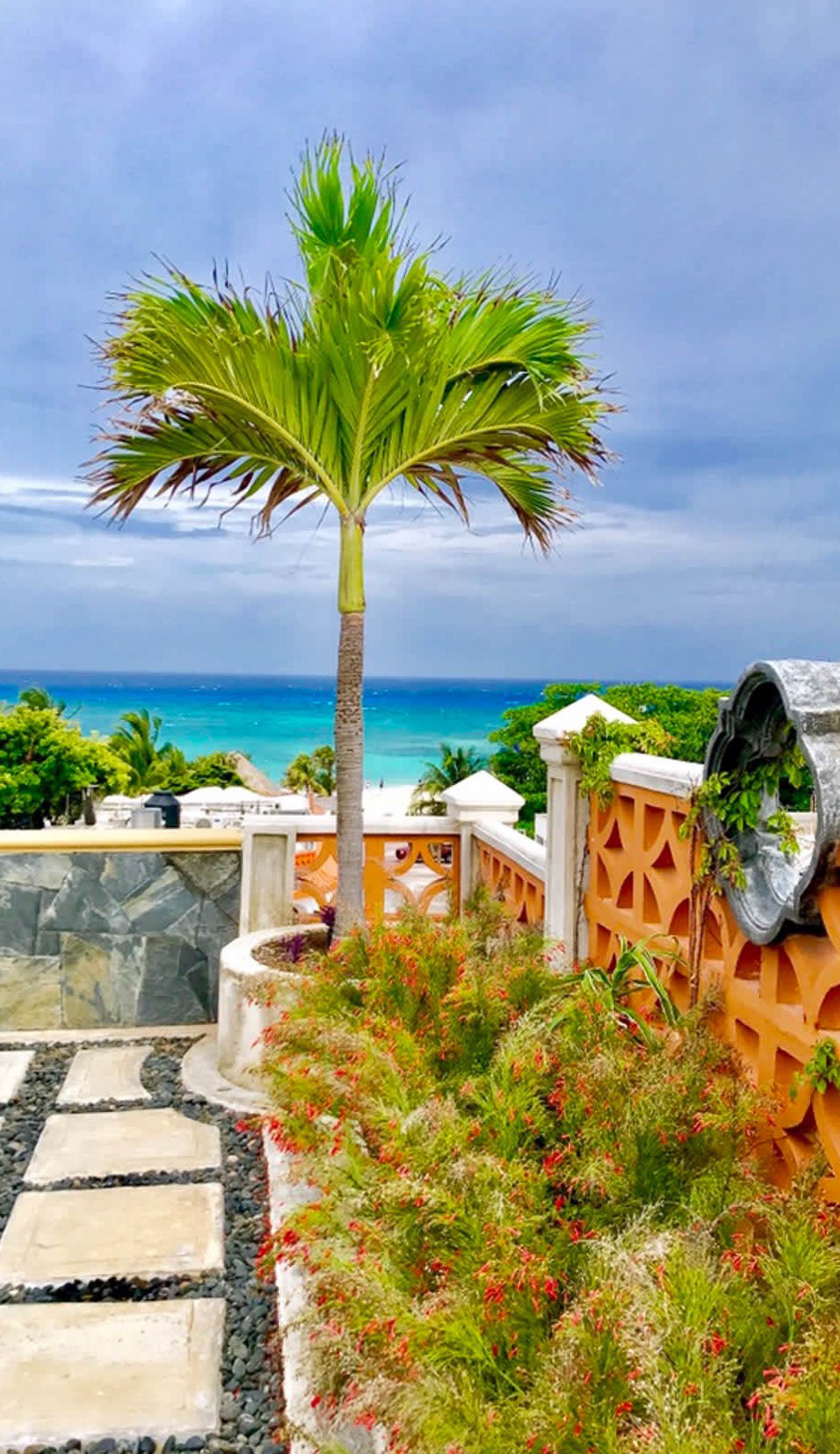 Hotel Cielo