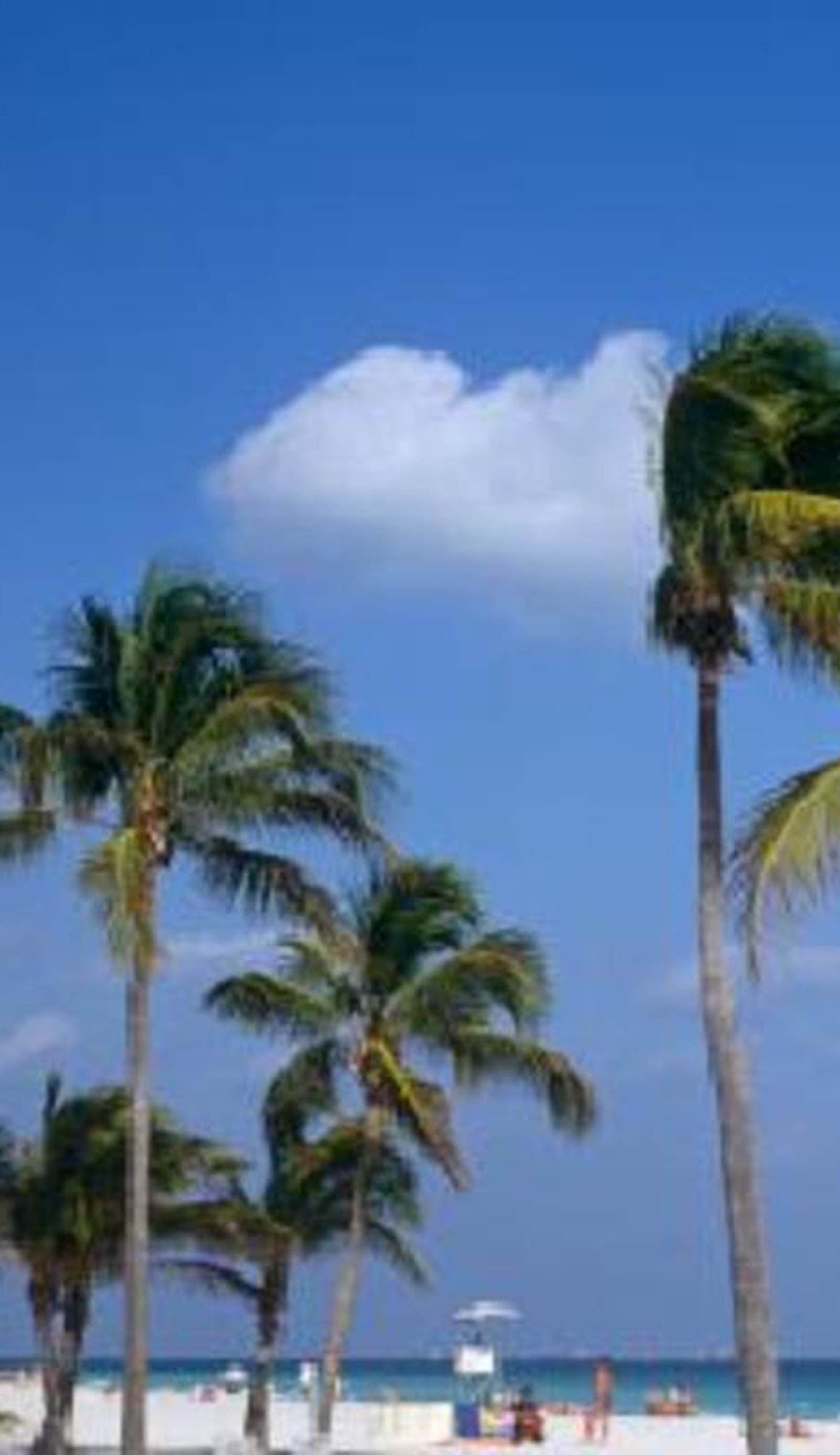 Hollywood Beach Hostel
