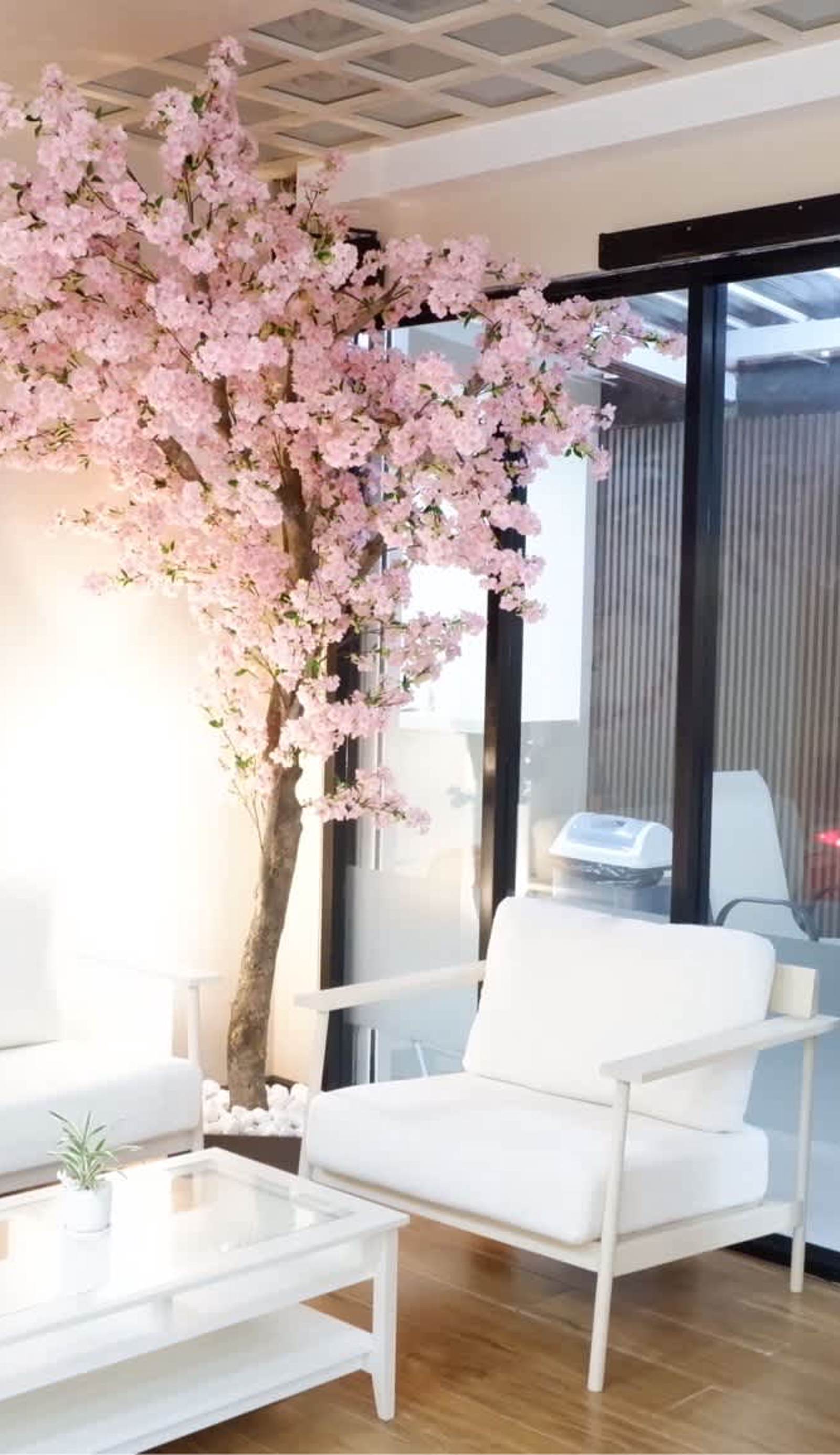 Shi-ro-i Poshtel
