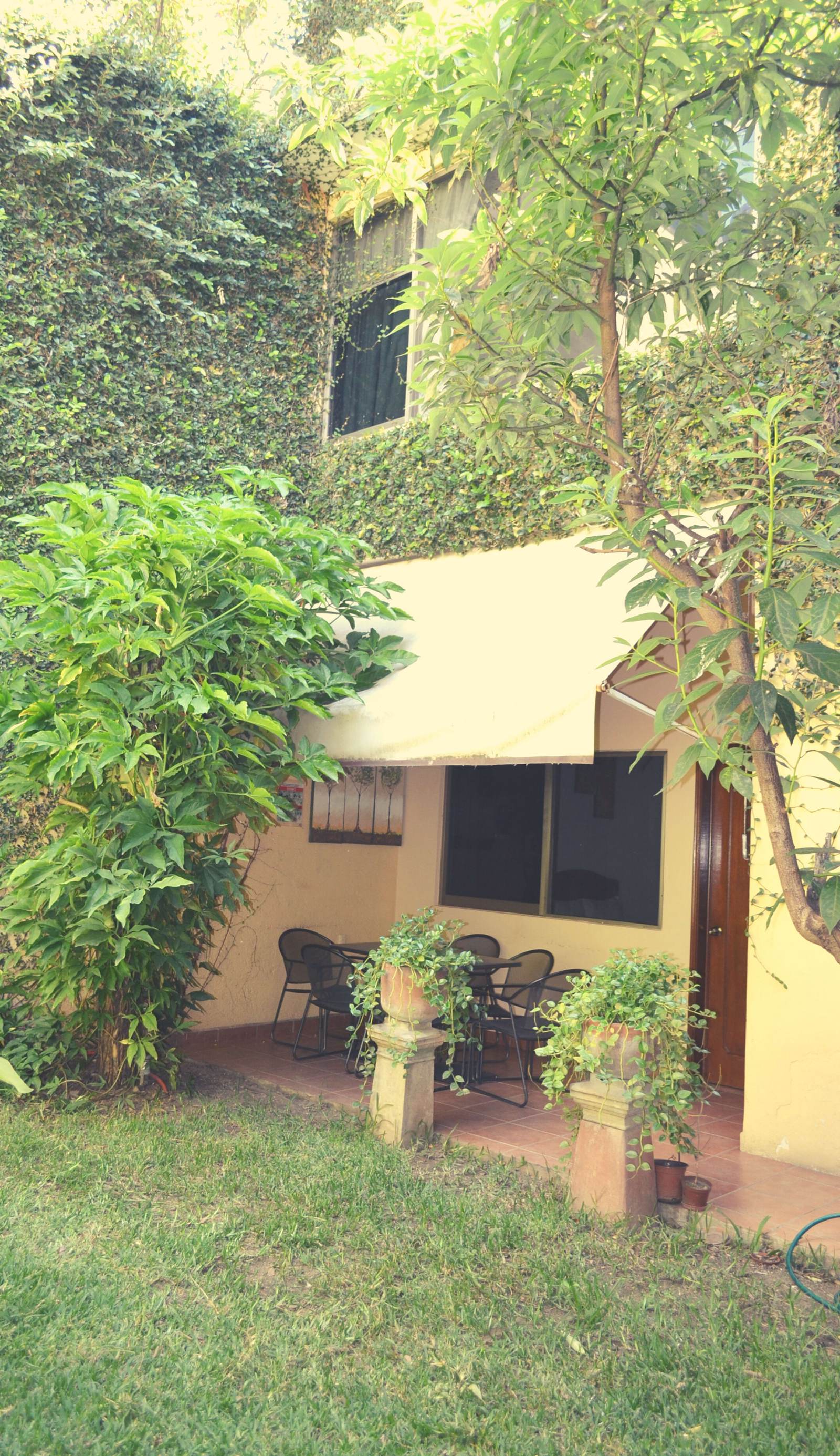 Hostel Don Nino