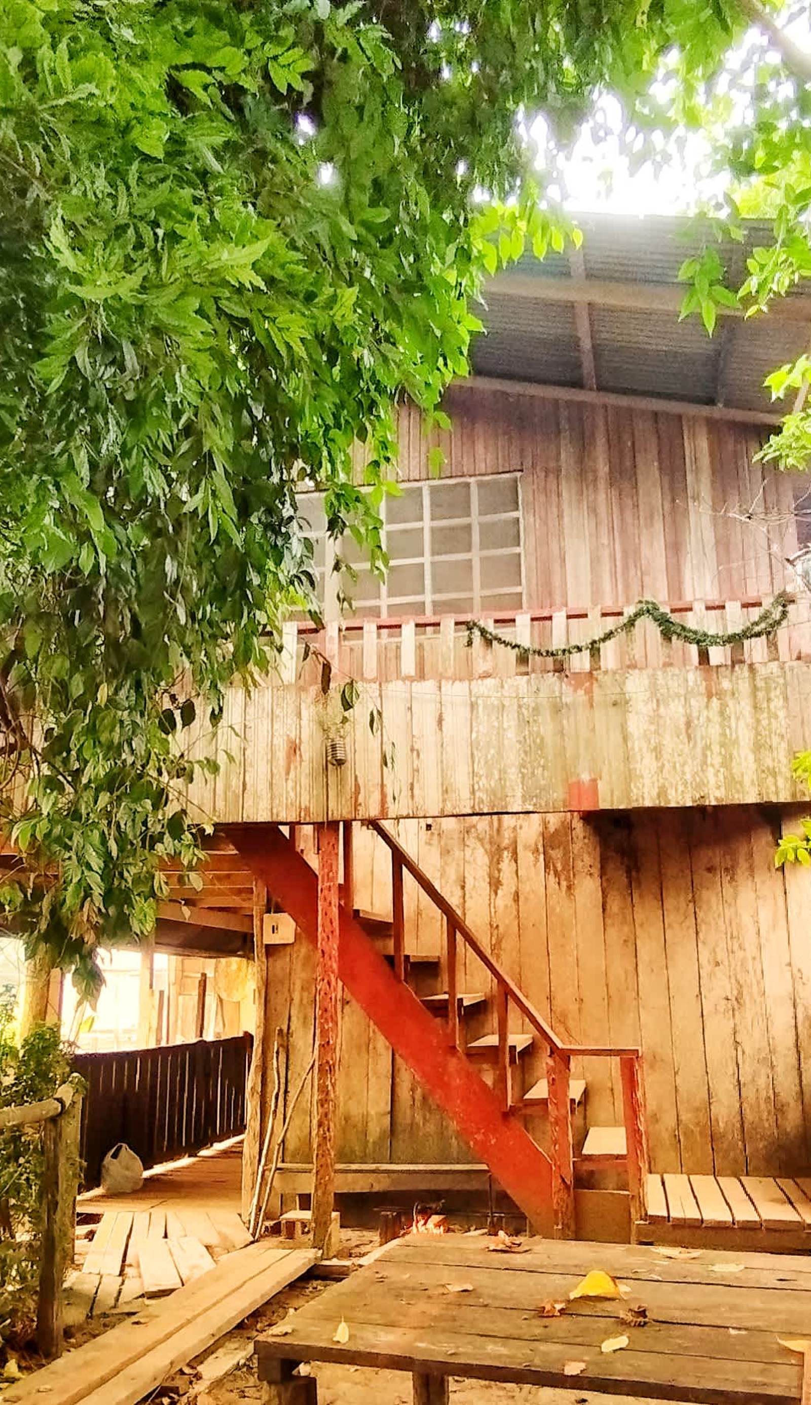 Reina Arriera Amazonas