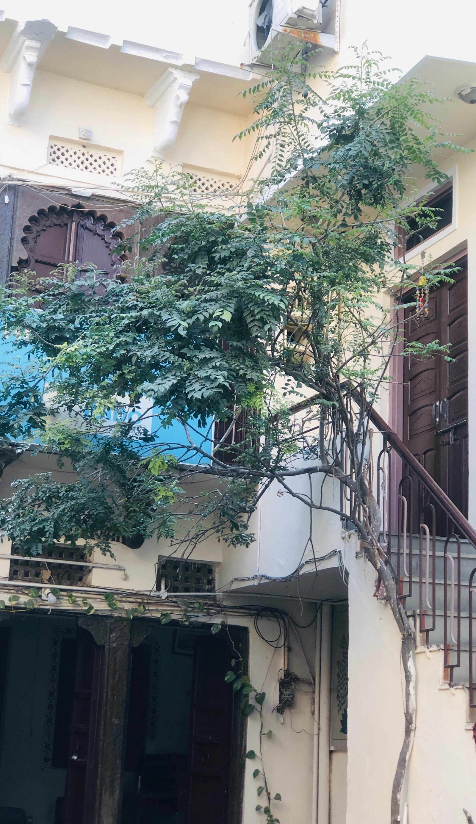 Heritage haveli