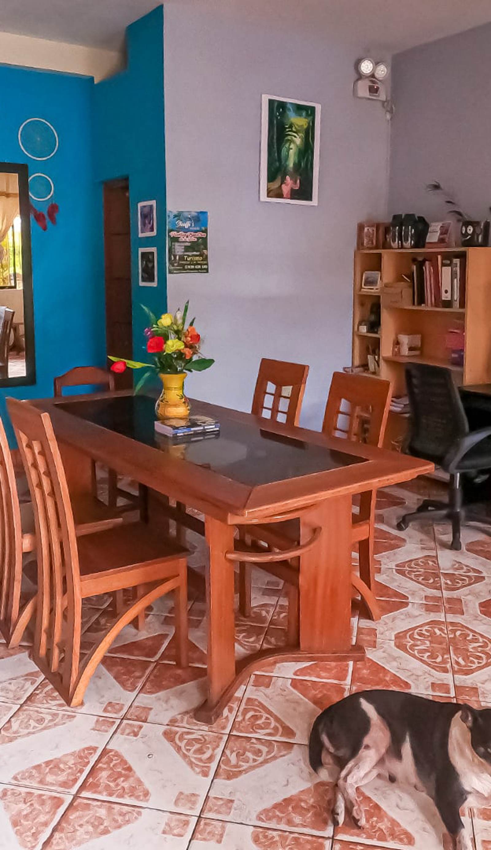 Shoffi's House Backpackers