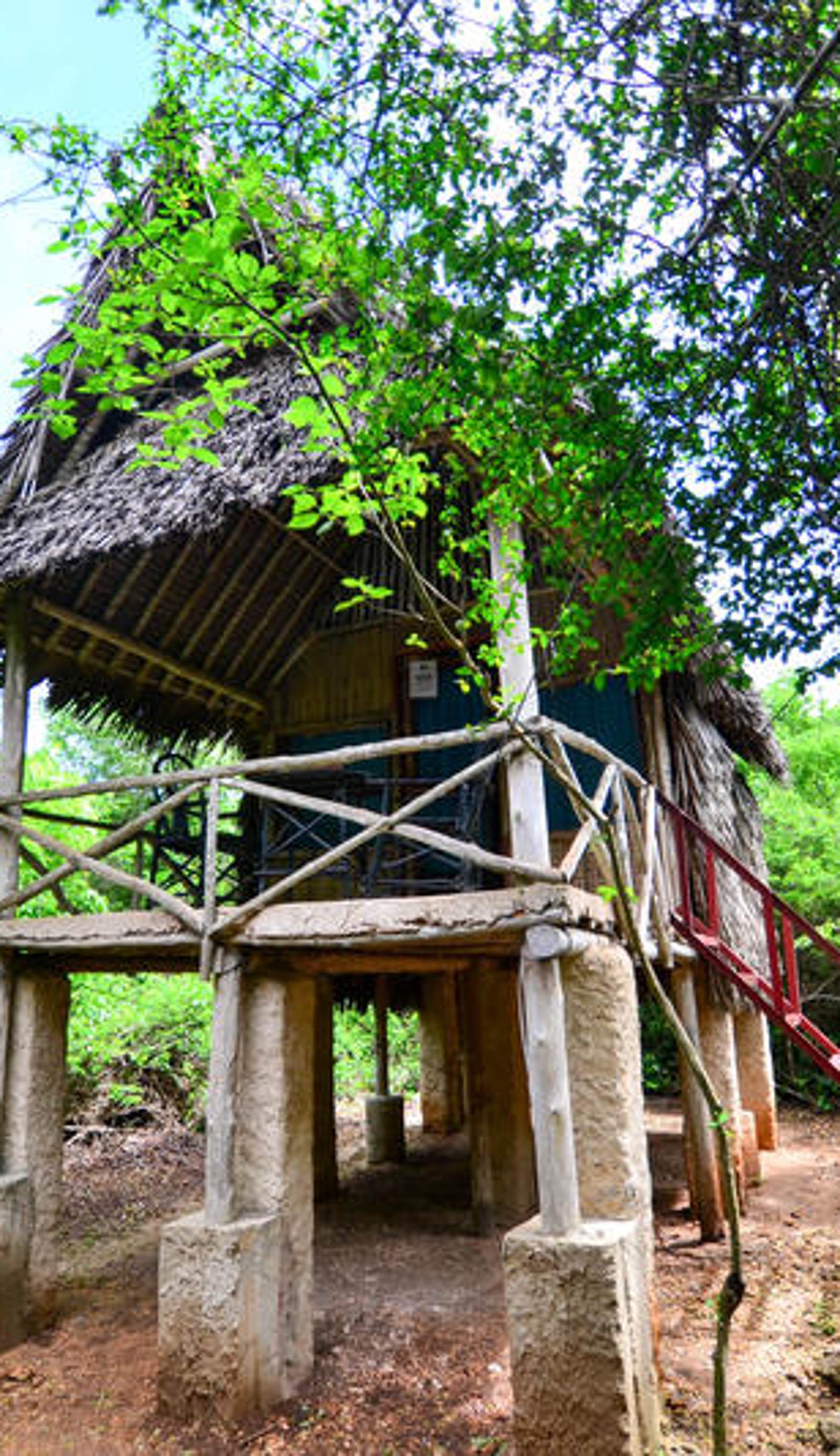 Stilts Backpackers Diani Beach
