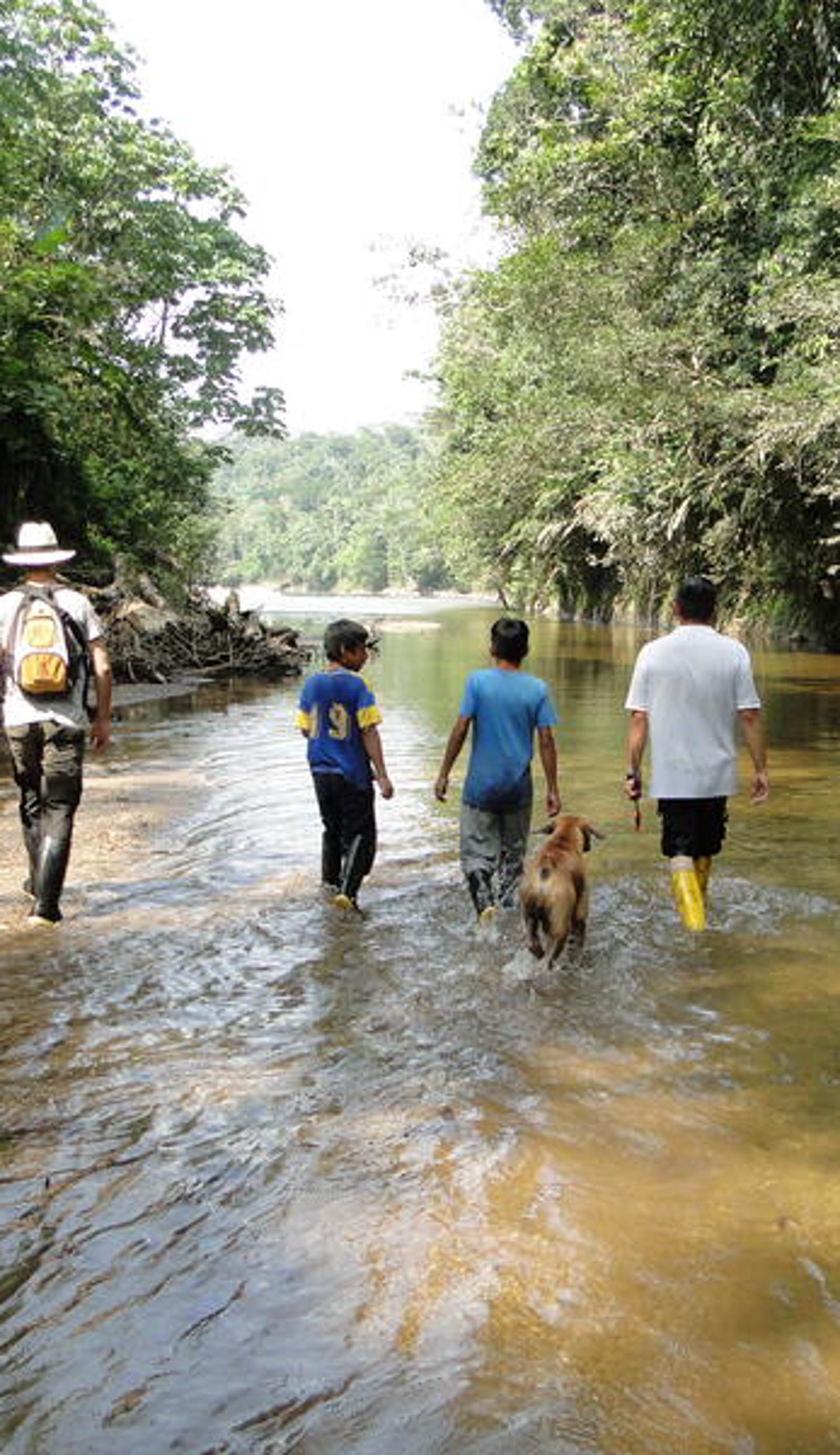Grand Selva Lodge & Tours