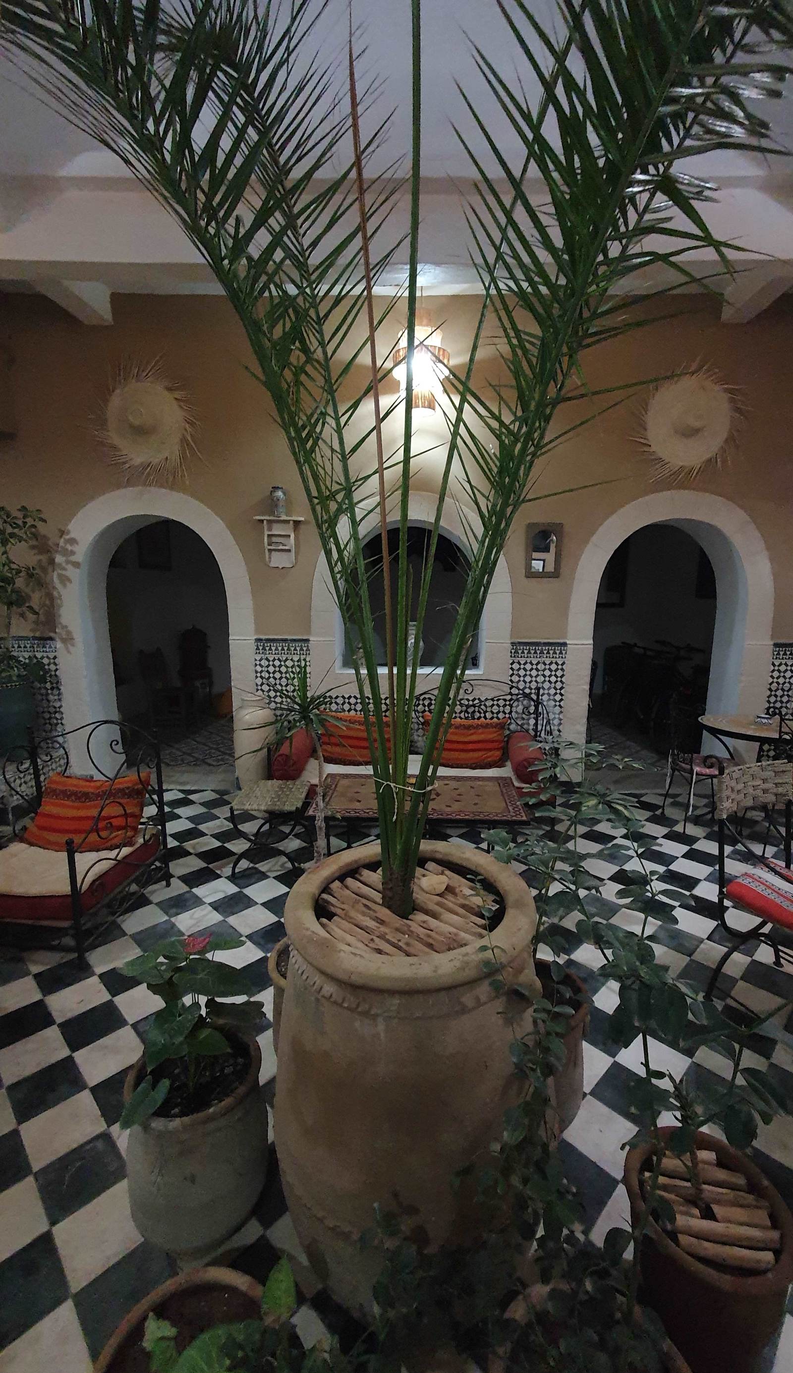 Riad Sidi Magdoul