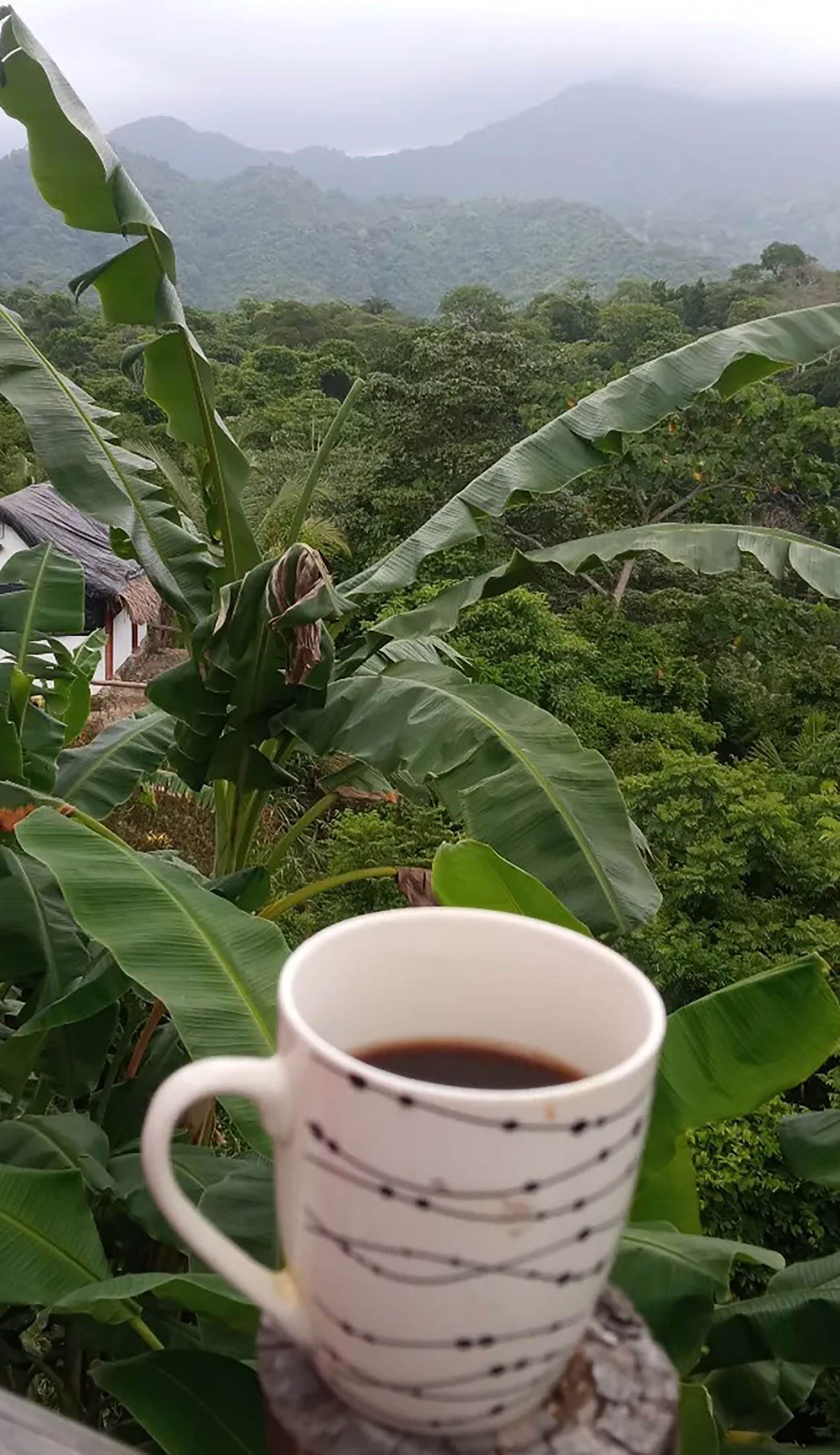 Mirador Del Parque Tayrona Hostel