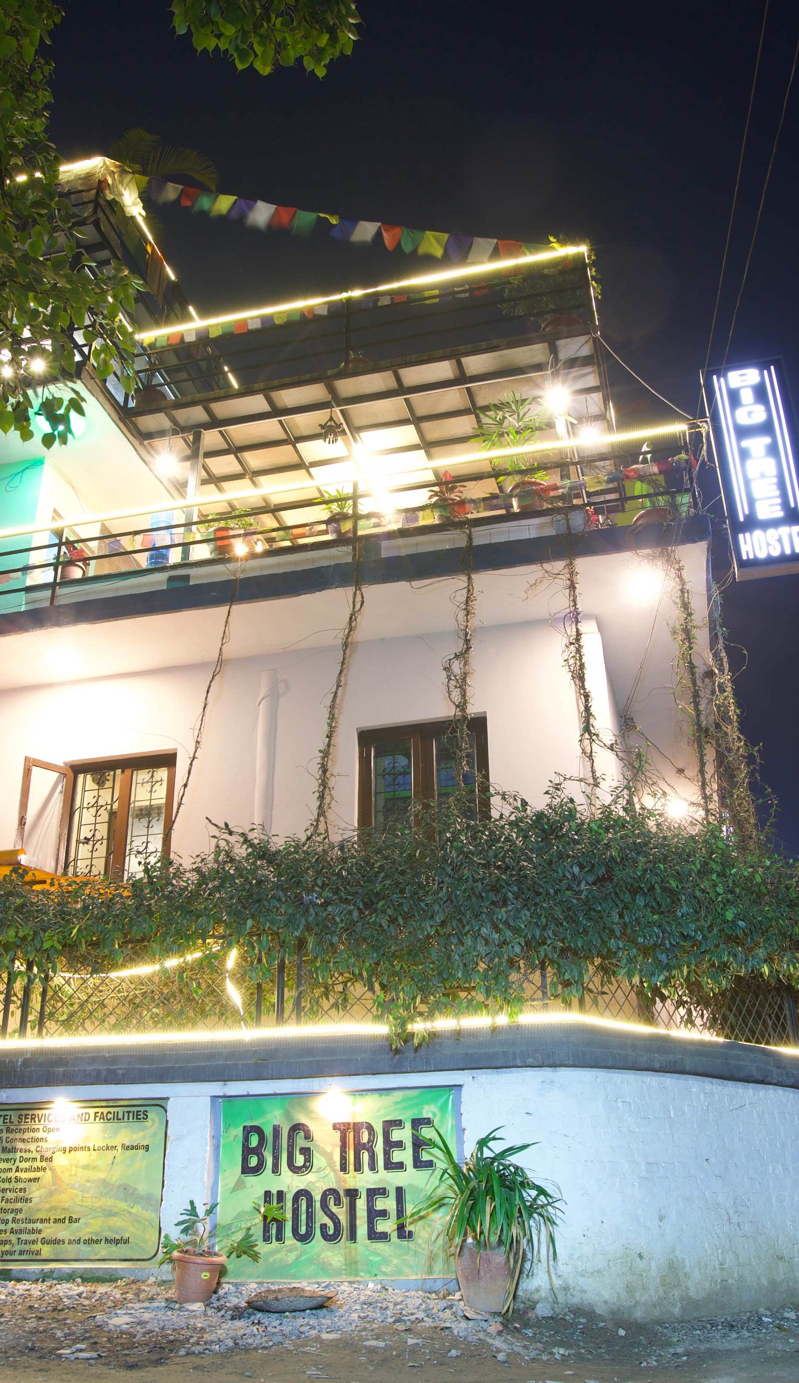 Big Tree Hostel