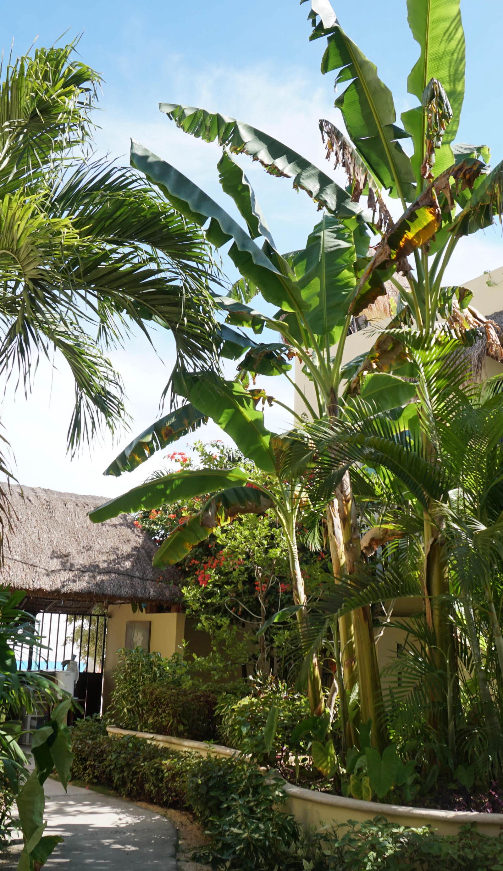 Villas Akalan