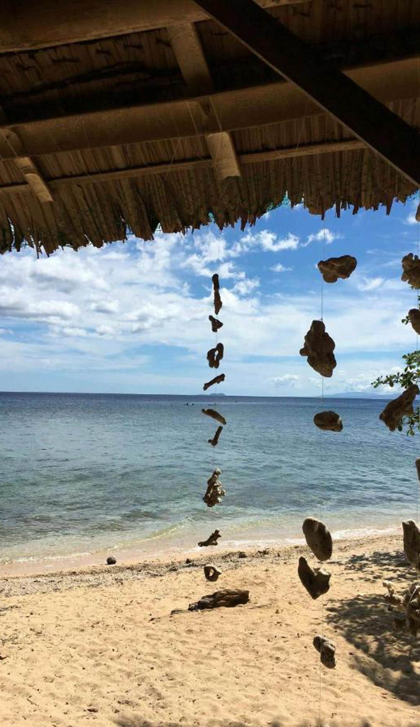 Tori's Backpackers Paradise