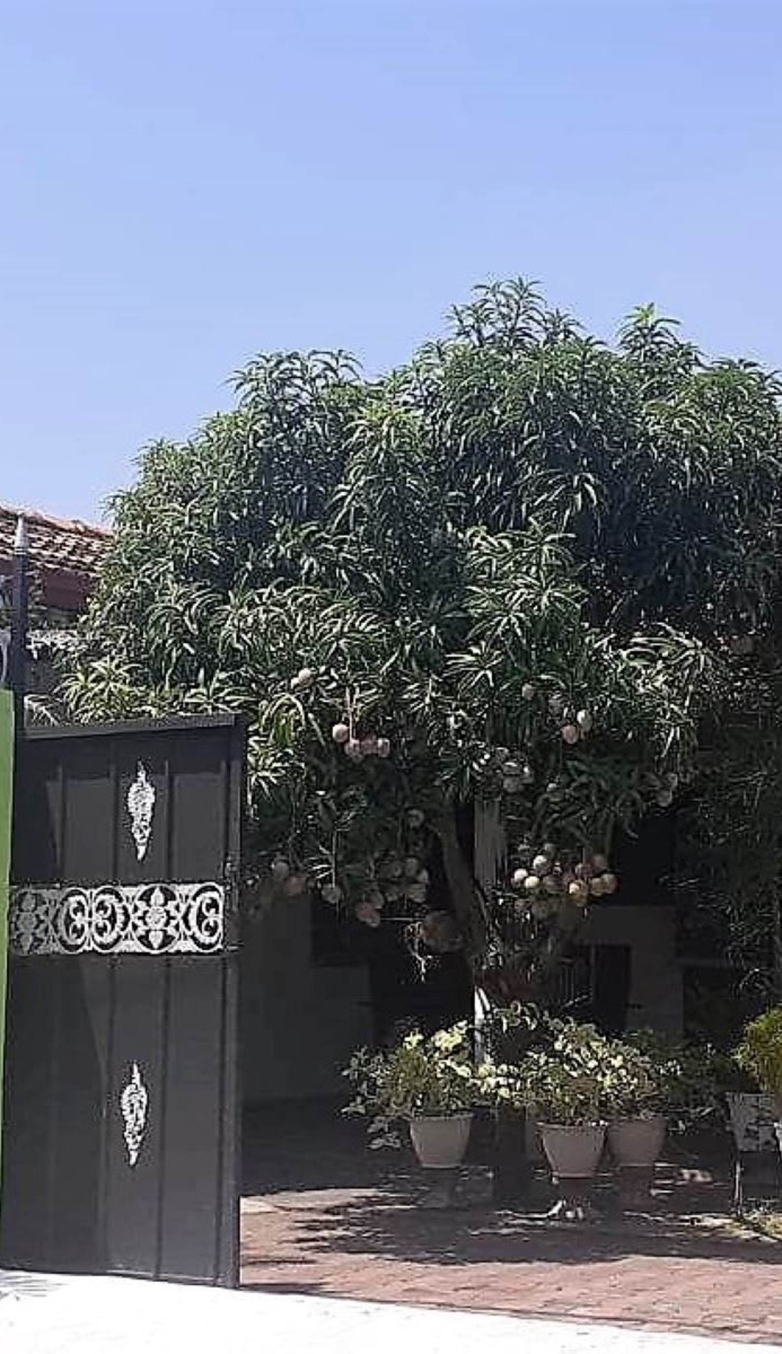 Alexandra Family Villa