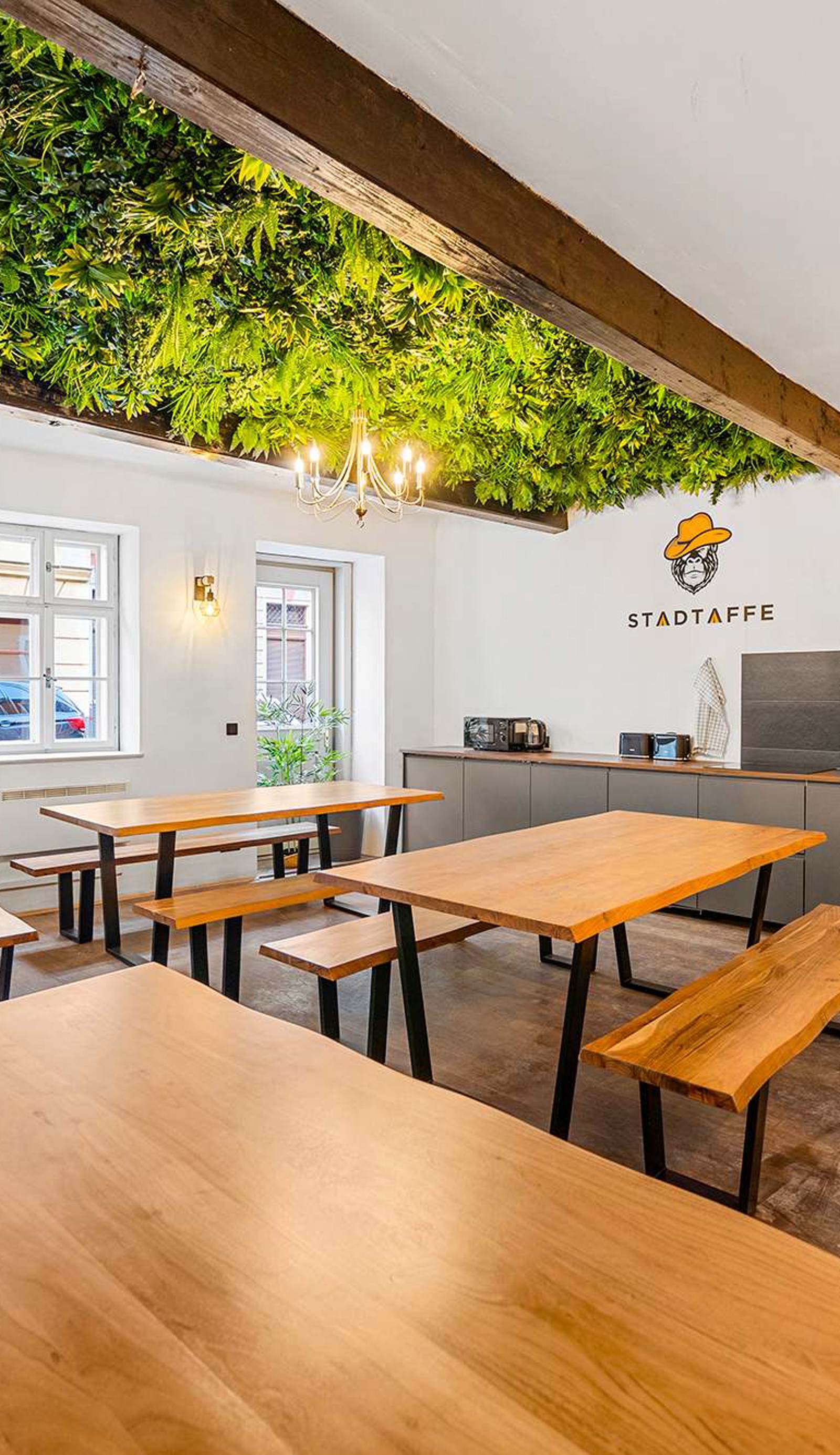 Stadtaffe - Chic Hostel VIE