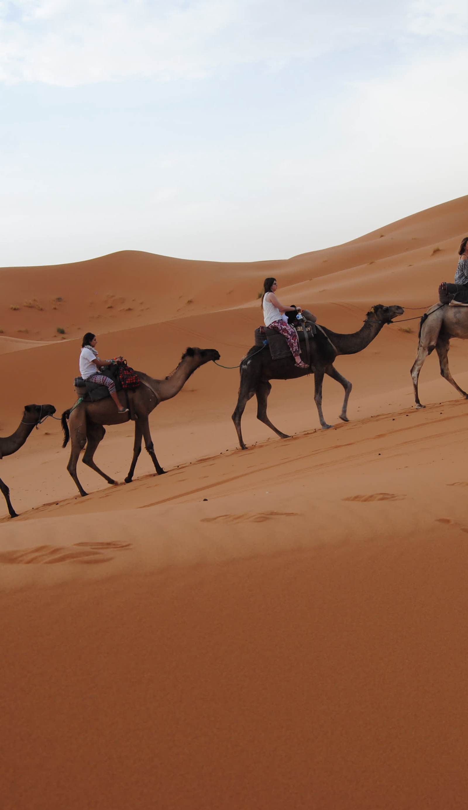 Merzouga Desert Activities