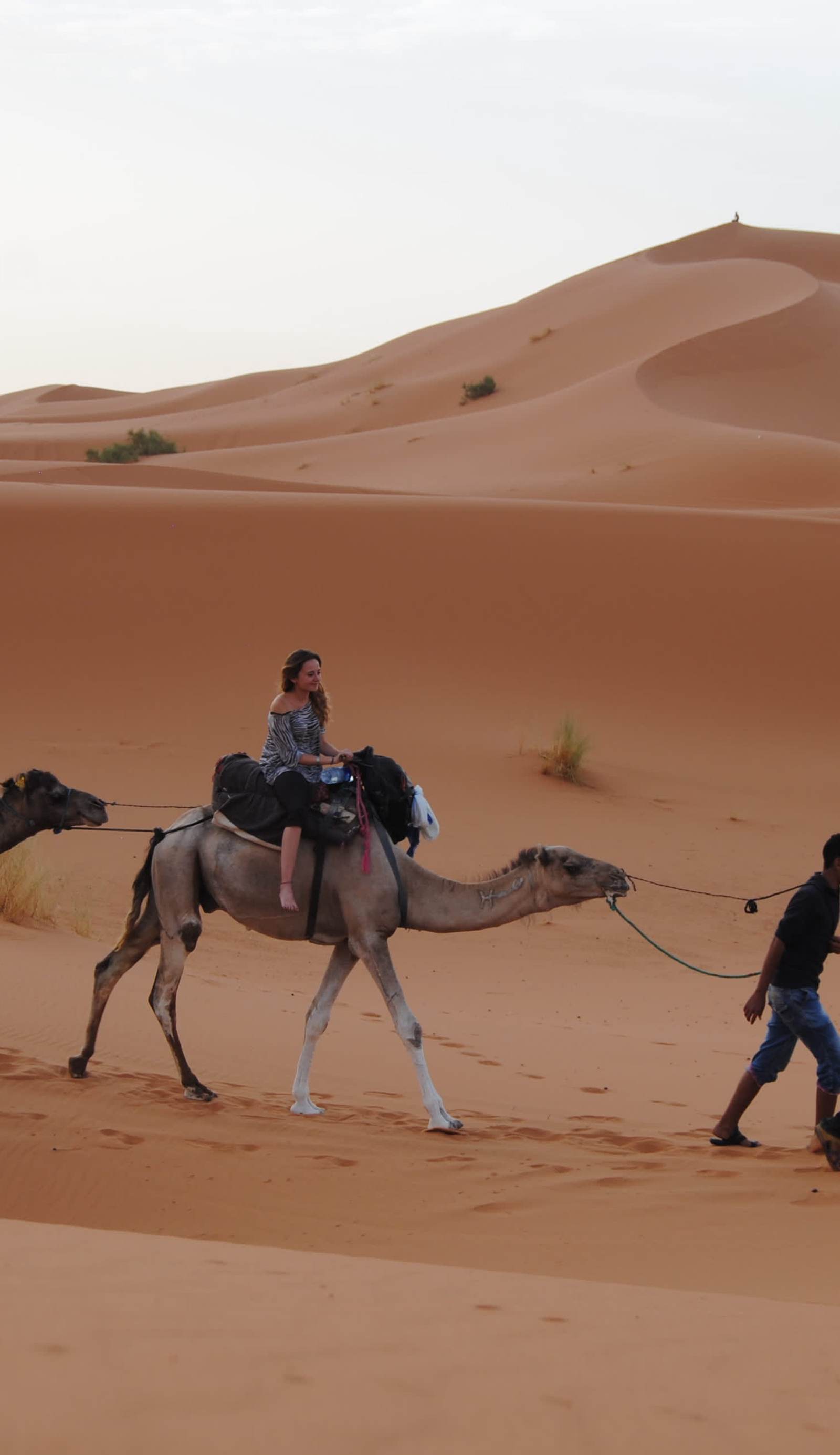 Desert Safari Camp