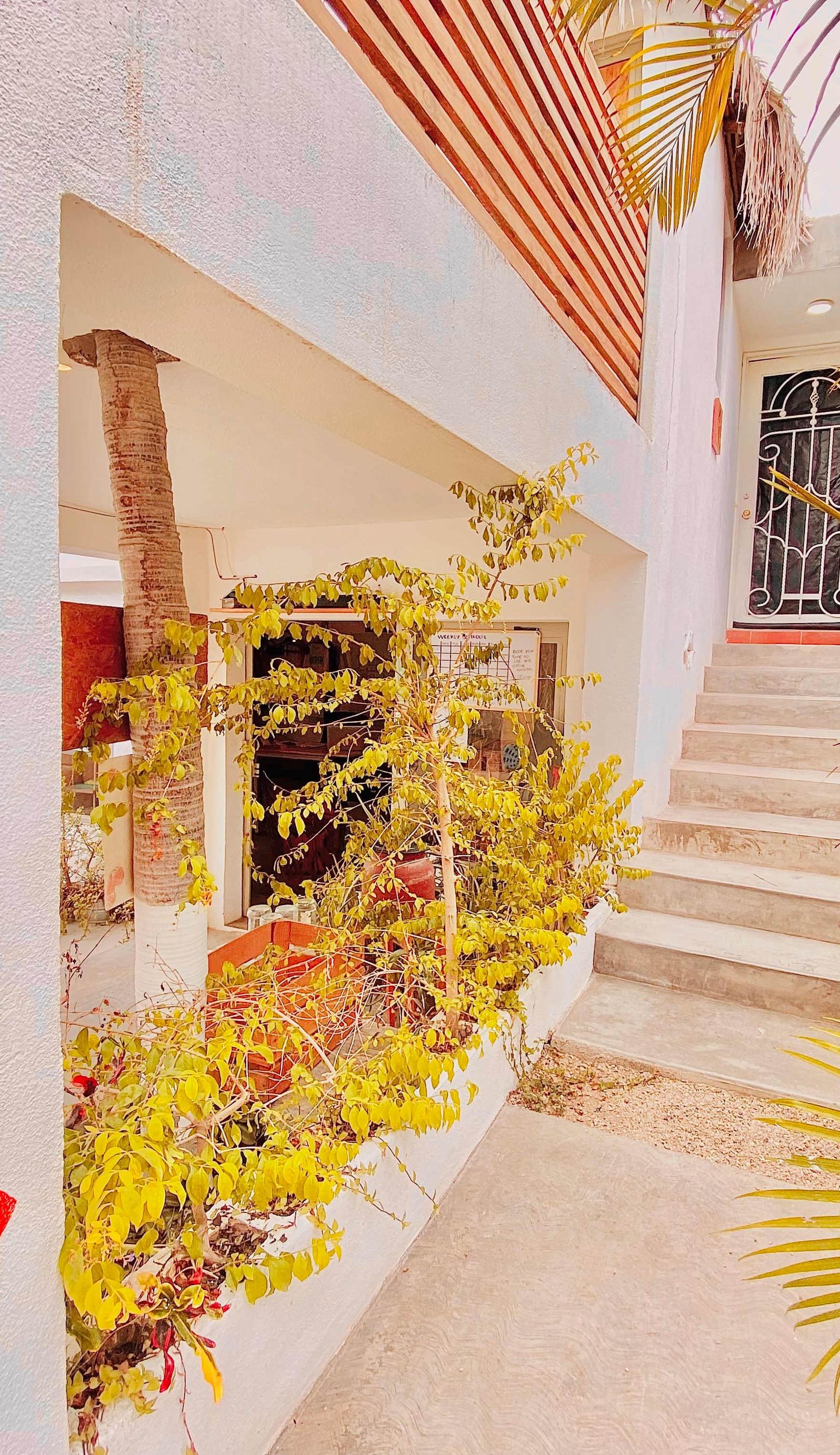 Hotel Perro Surfero