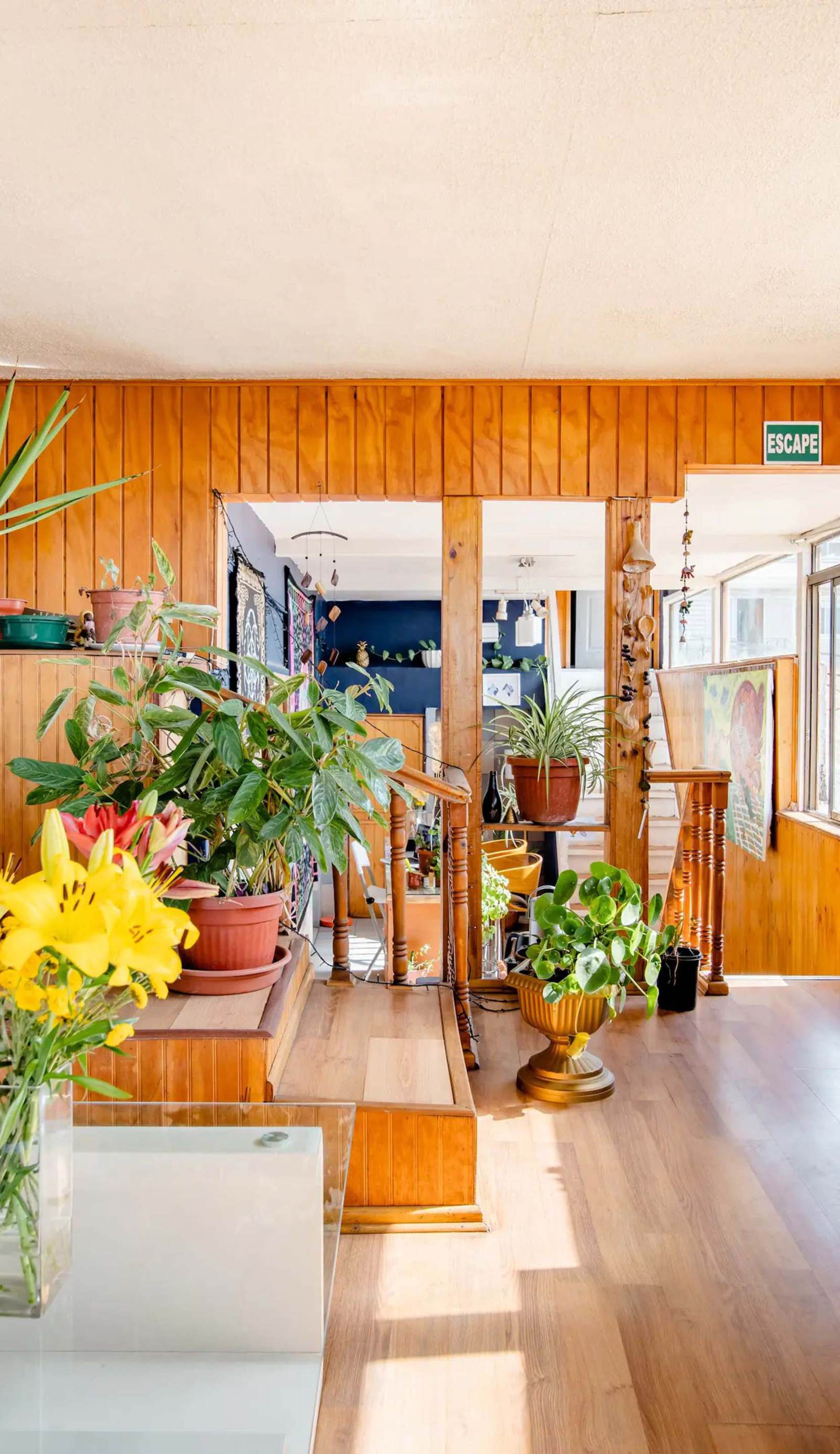 Casa Altavista