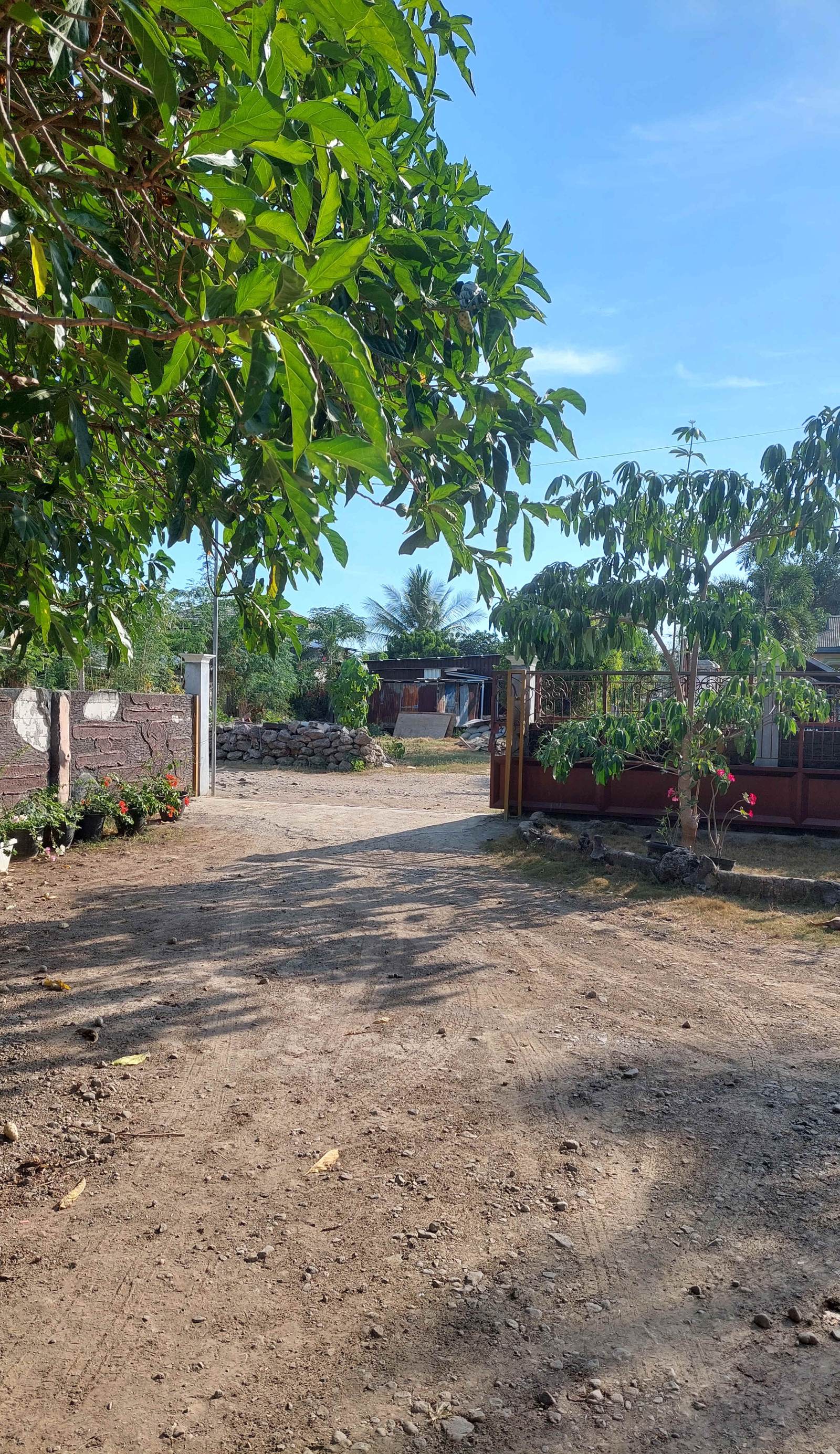 D'Ru Guest House
