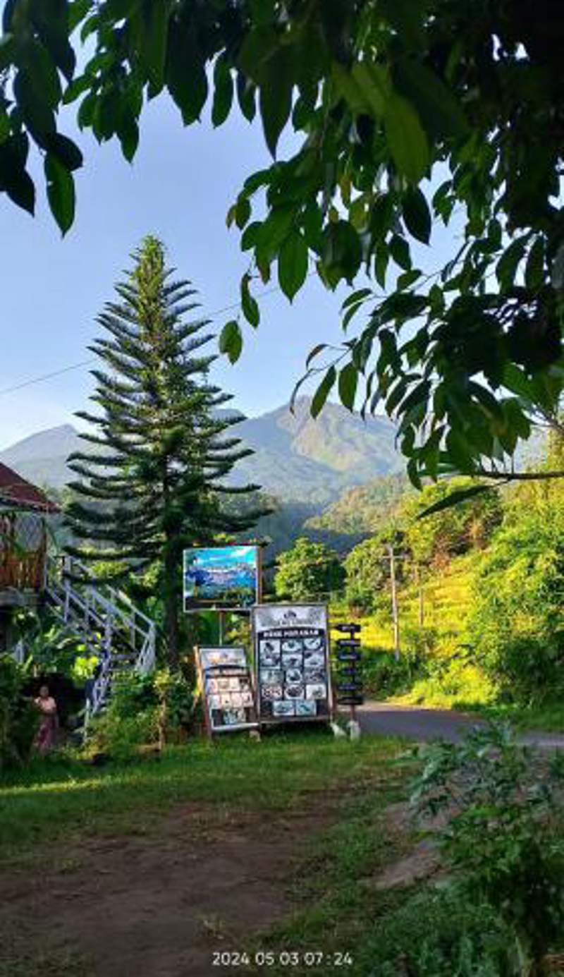 Blue Mountain Cottage
