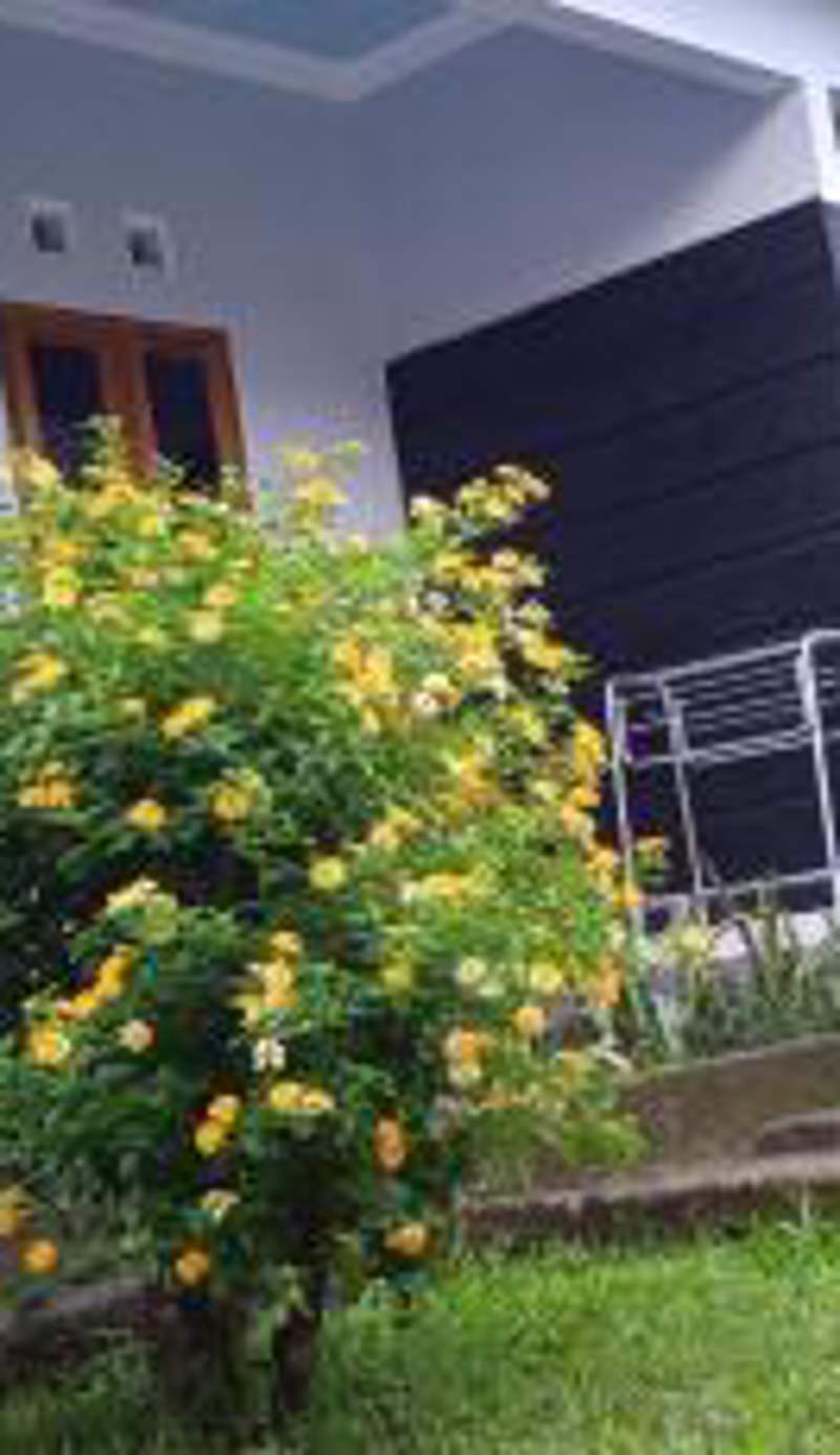 Anak Rinjani Guest House