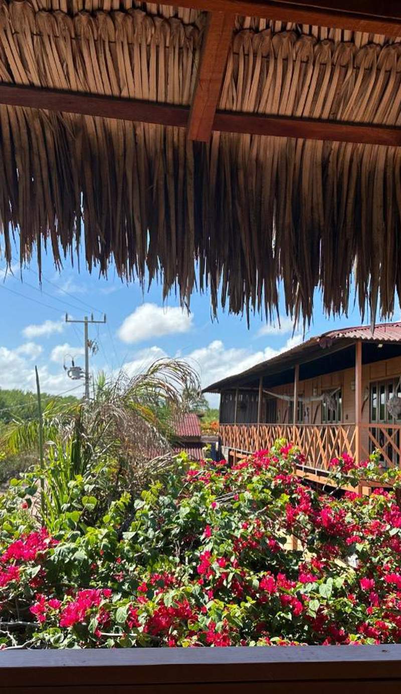 Paraíso dos Ventos
