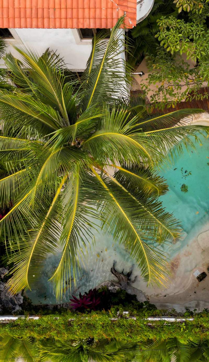 Enigmatic Boutique Hotel