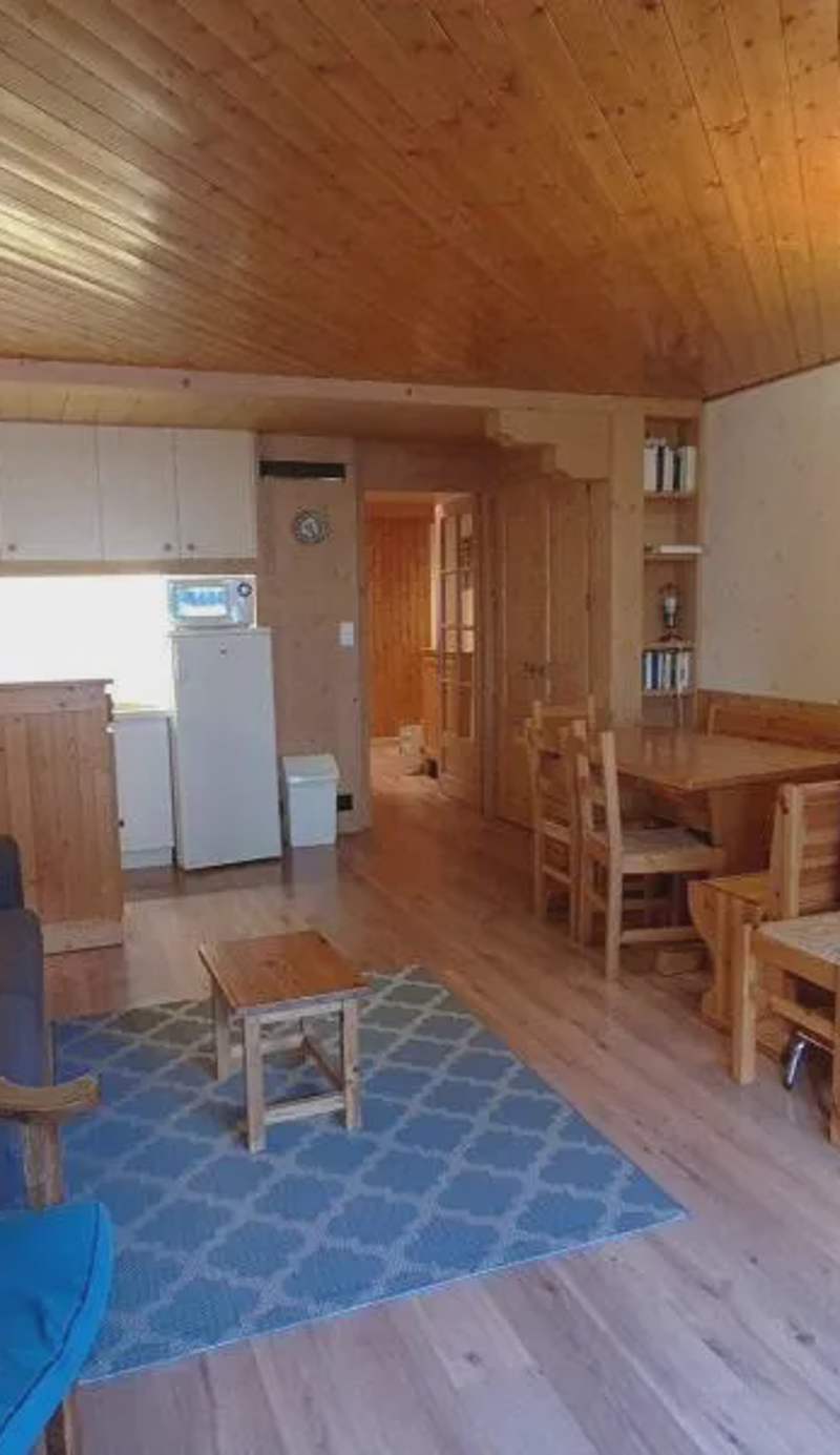 Appartement 3 pièces sud au centre du village, proche remontées, commerces et activités. - FR-1-459-36